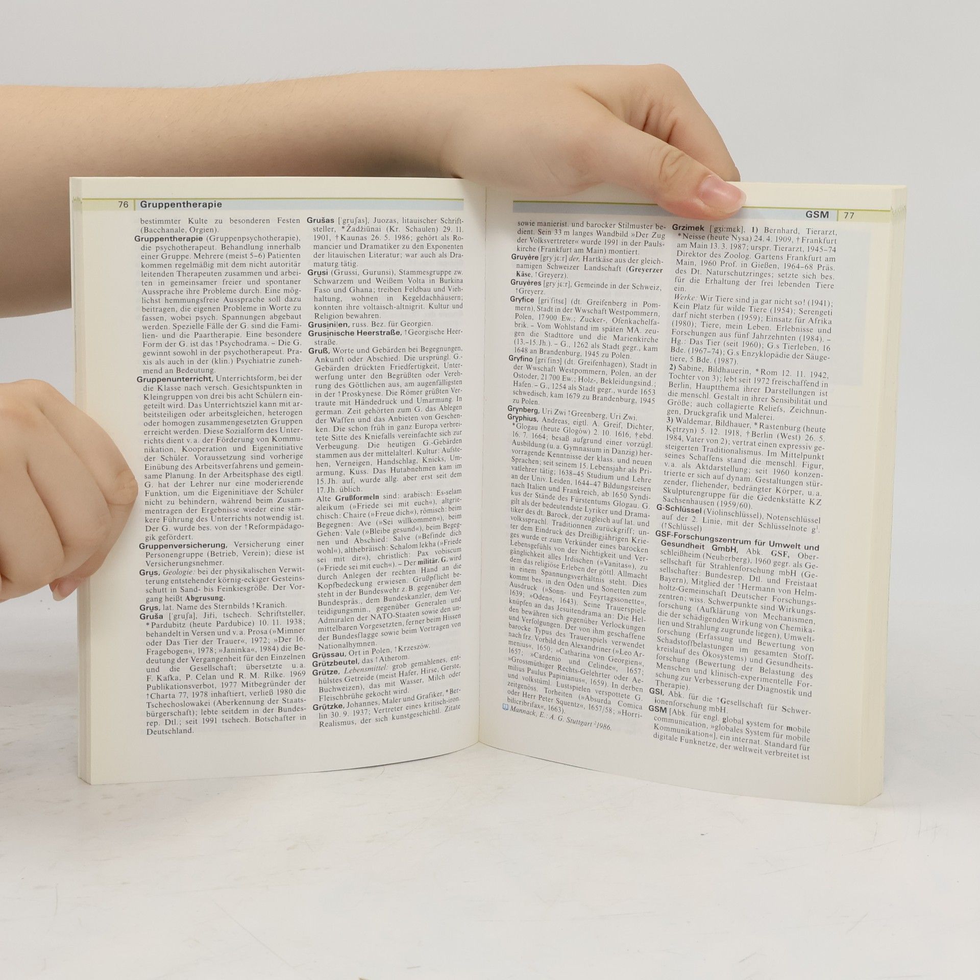 Annette Zwahr Meyers grosses Taschen-Lexikon