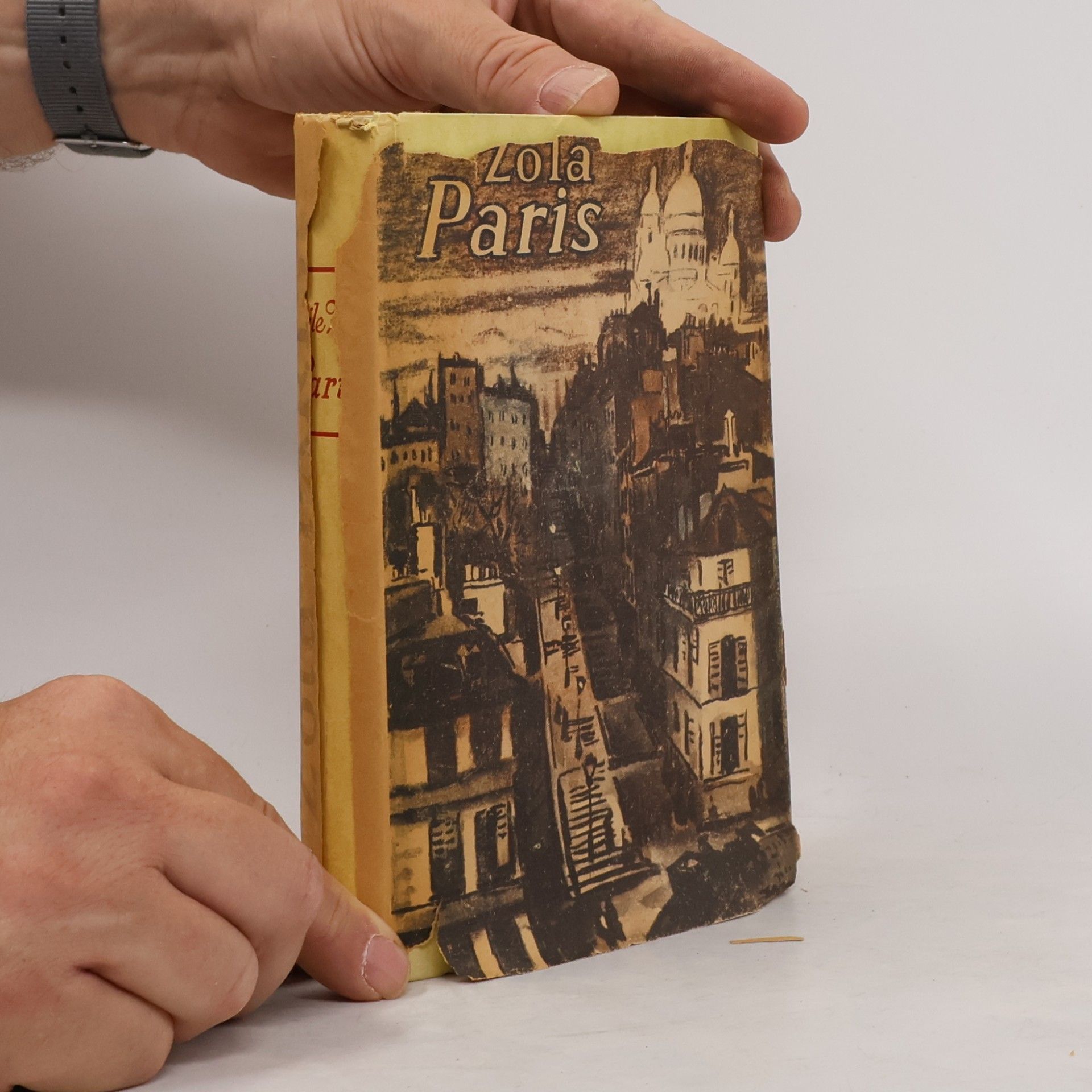 Émile Zola Paris