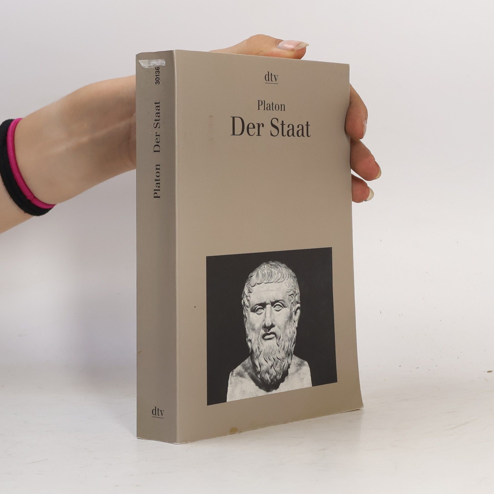 Platón Der Staat