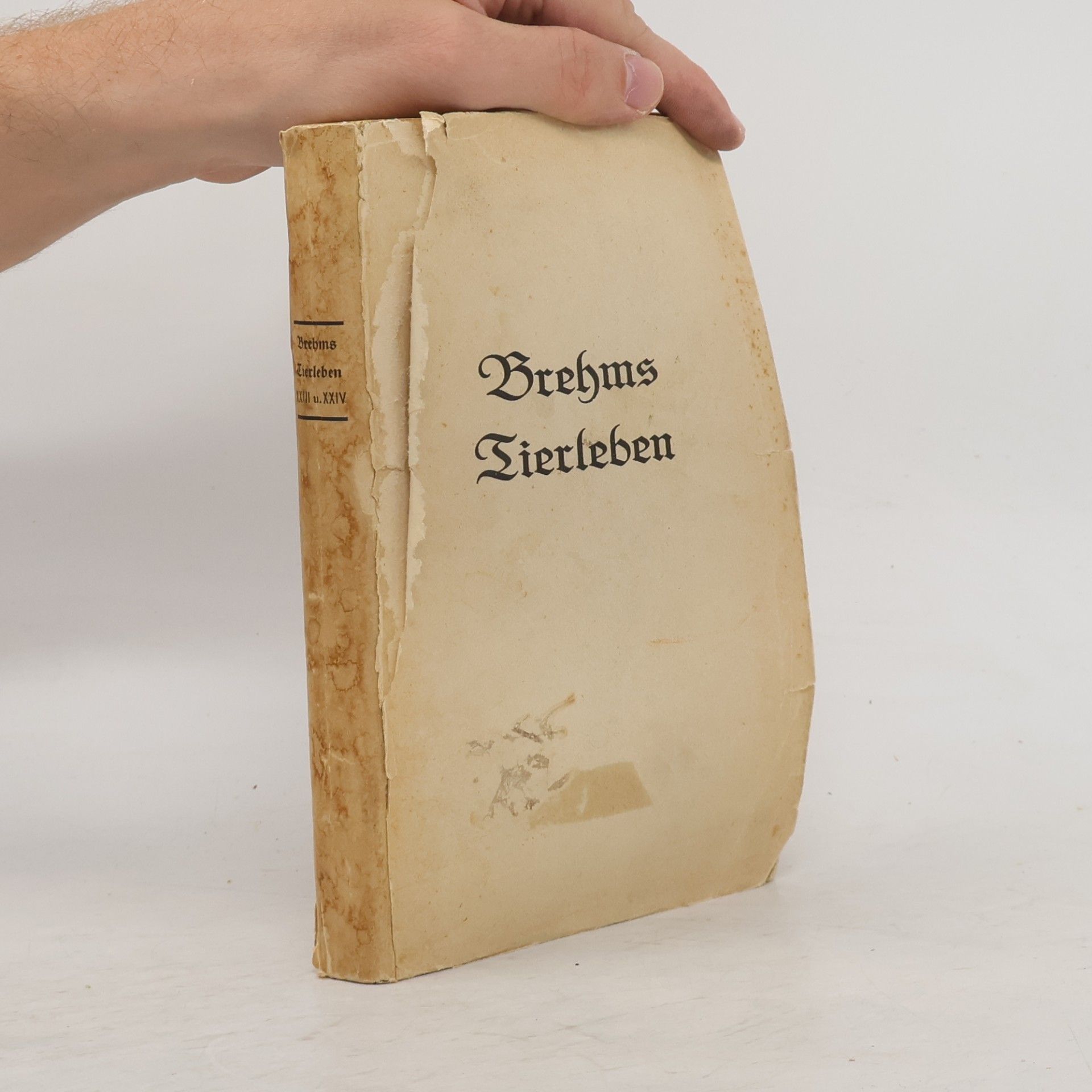 Alfred Edmund Brehm Brehms Tierleben 1