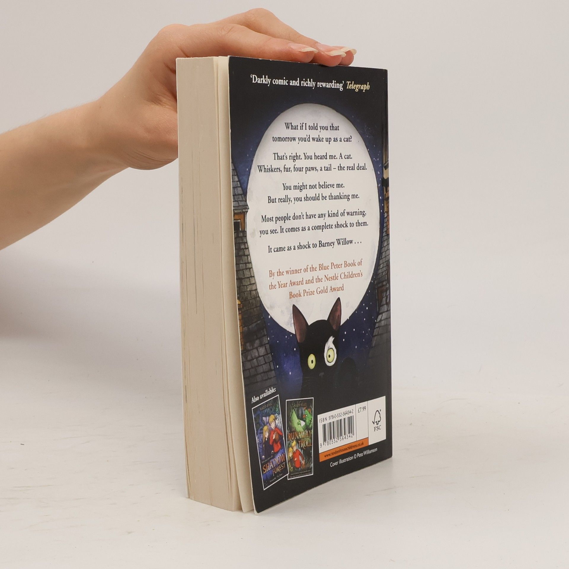 Matt Haig To Be a Cat