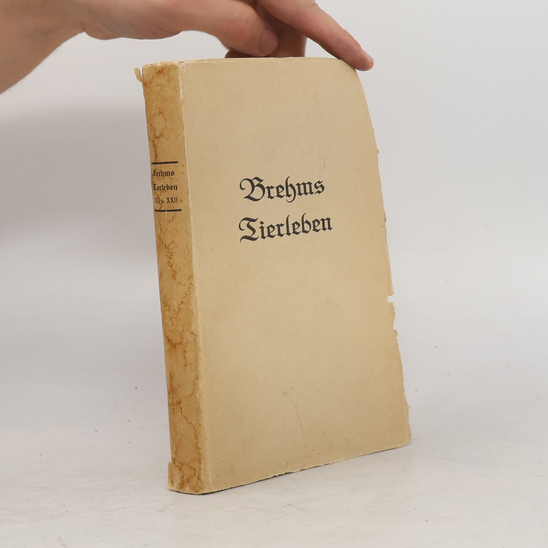 Autorenkollektiv Brehm's Tierleben I