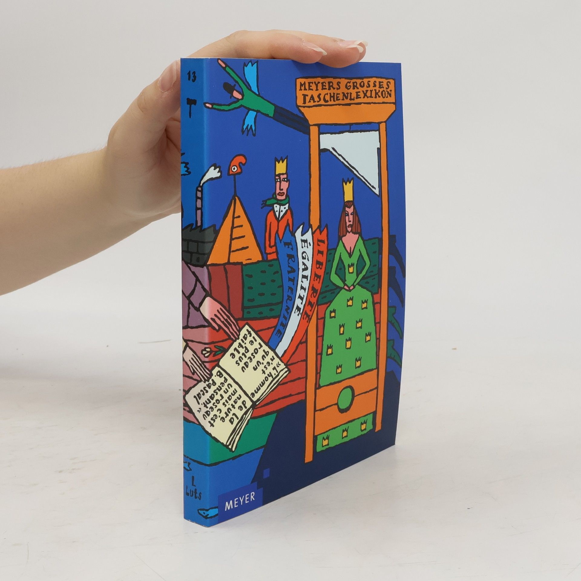 Annette Zwahr Meyers grosses Taschen-Lexikon 13