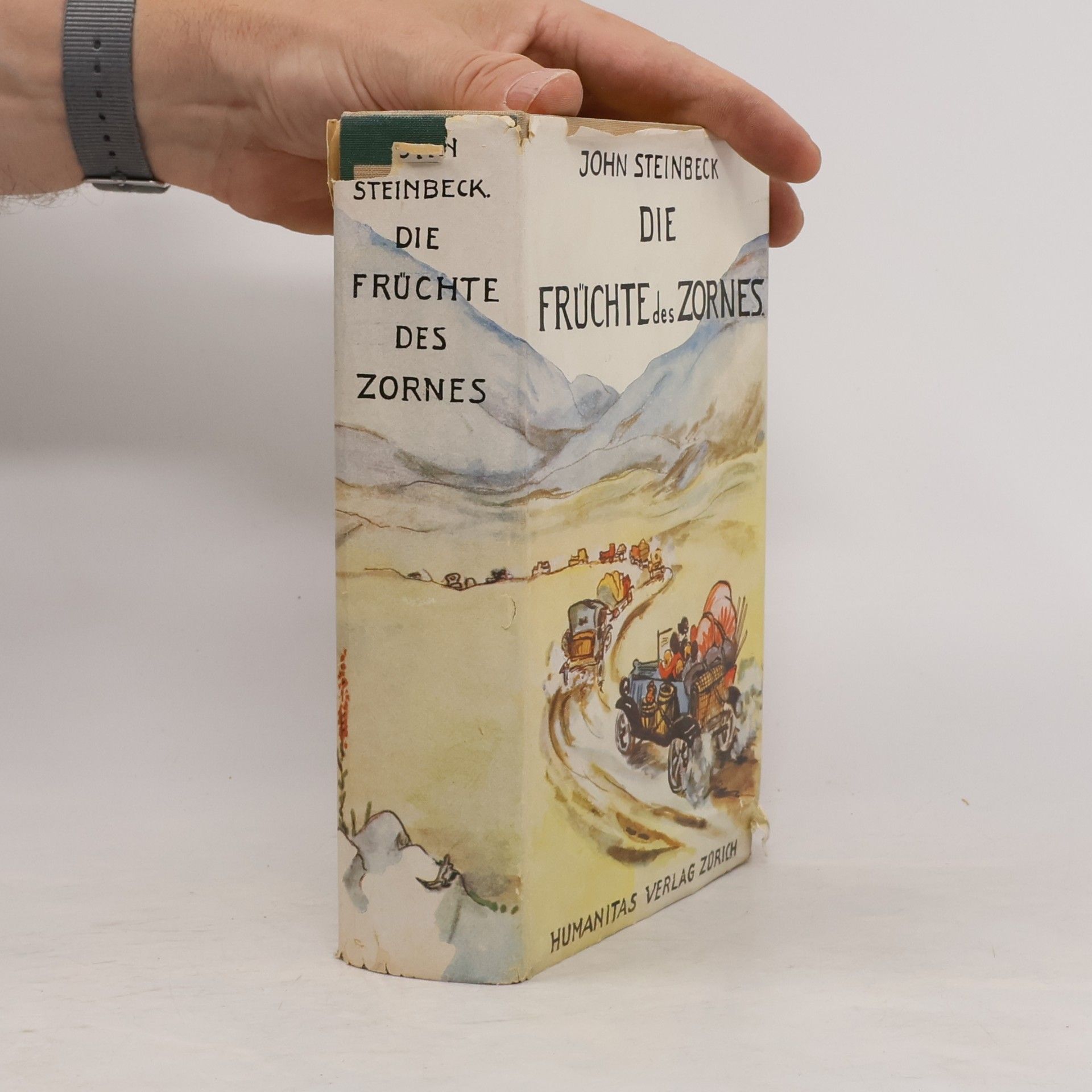 Die früchte des zornes