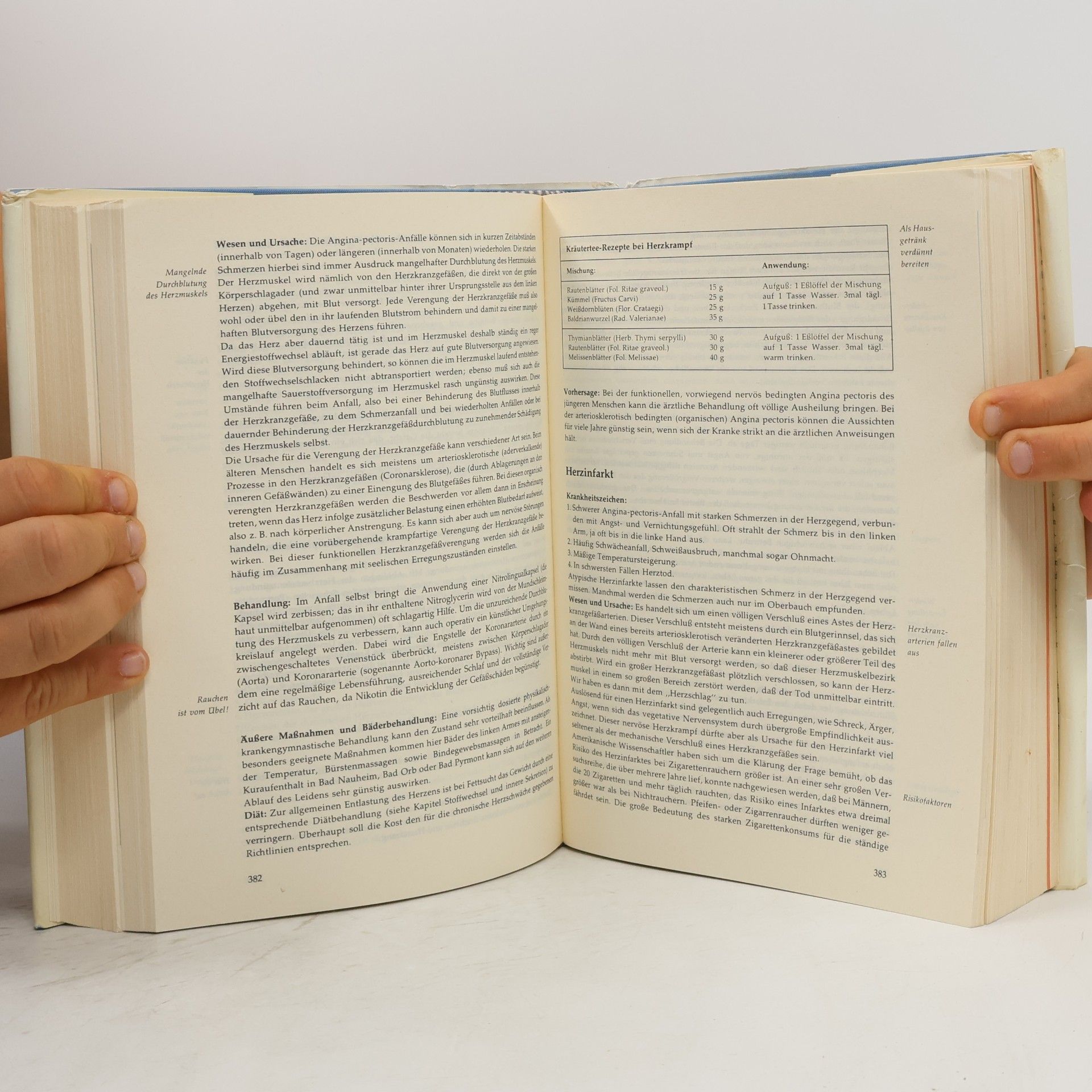 Heinrich Lucas Das neue grosse Gesundheitsbuch