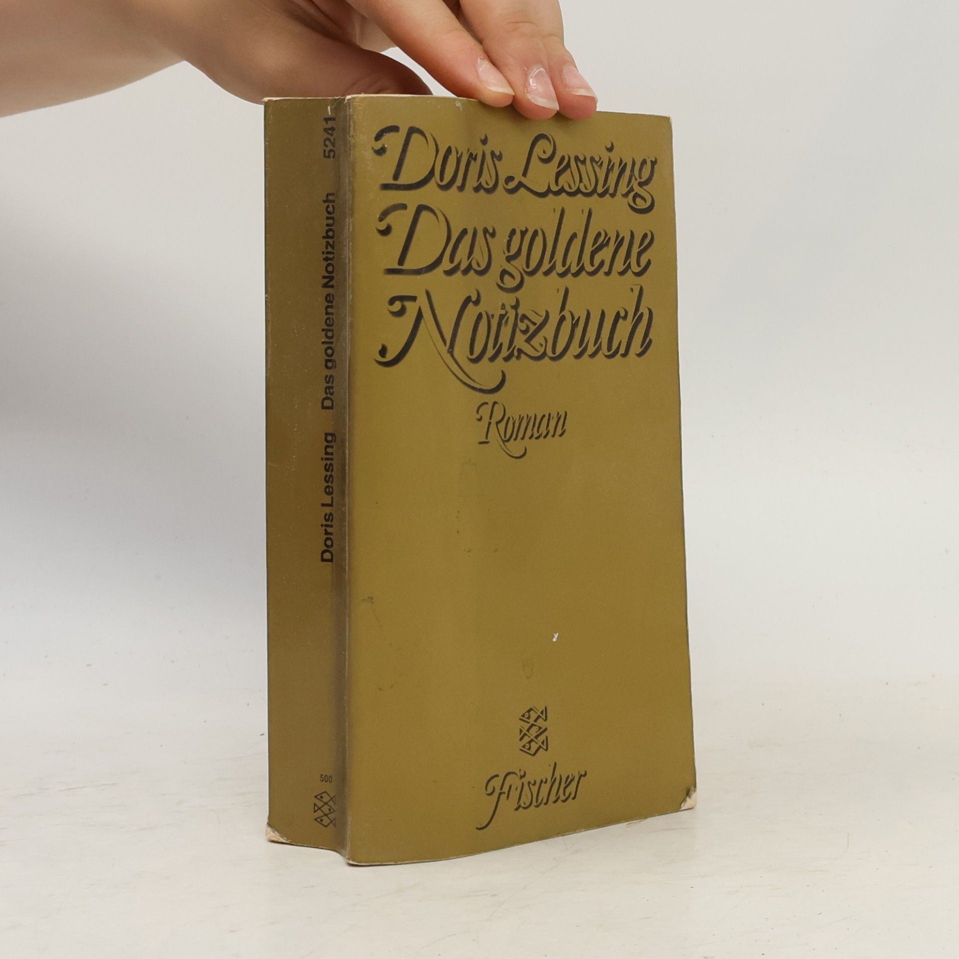 Doris Lessing Das goldene Notizbuch