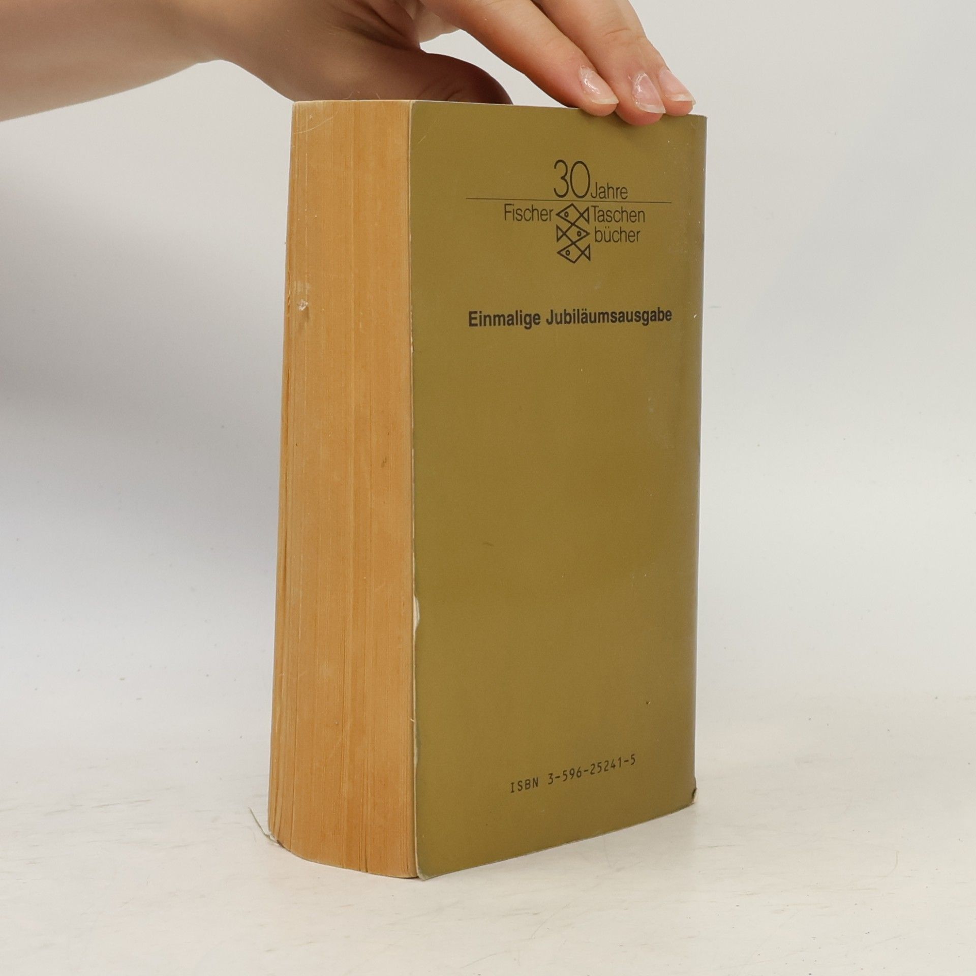 Doris Lessing Das goldene Notizbuch