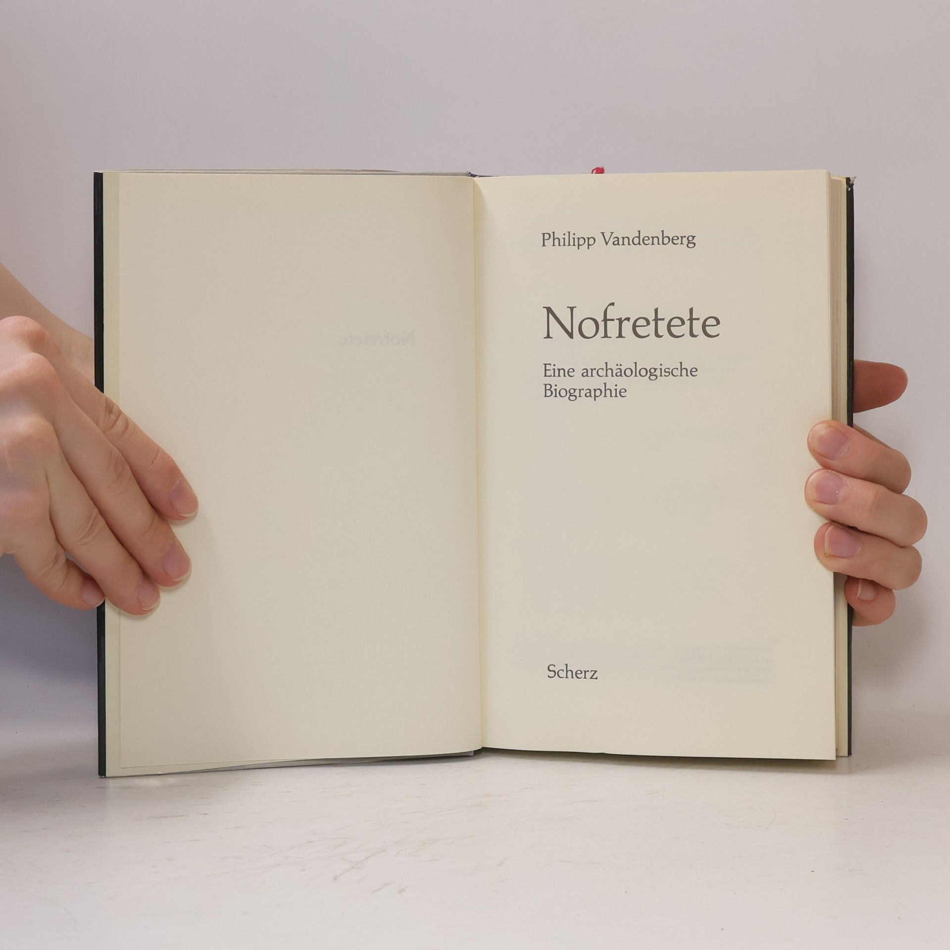 Philipp Vandenberg Nofretete und ihre Zeit. Eine archäologische Biografie