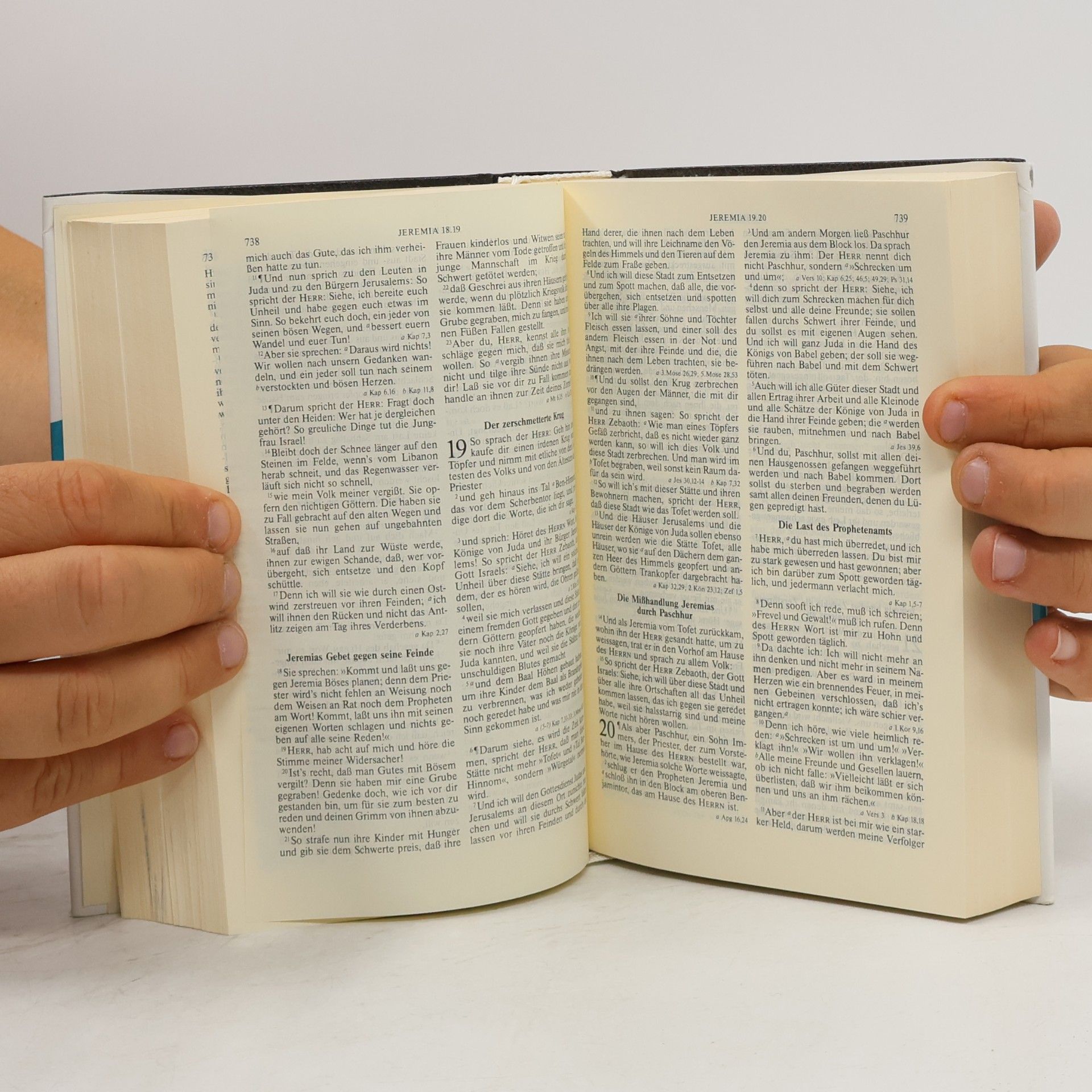 Kolektiv autorů Lutherbibel Taschenausgabe ohne Apokryphen mit Konkordanz