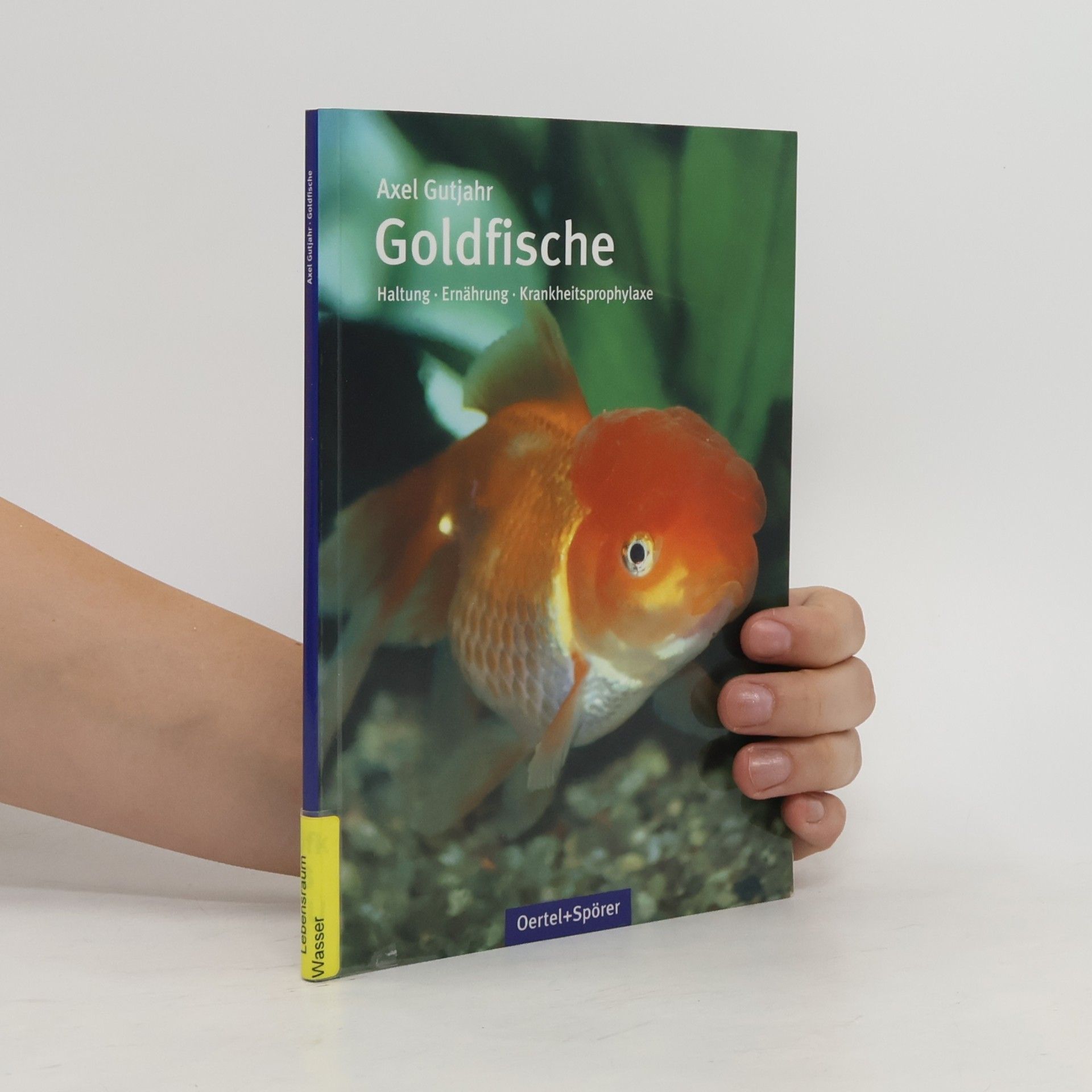 Axel Gutjahr Goldfische