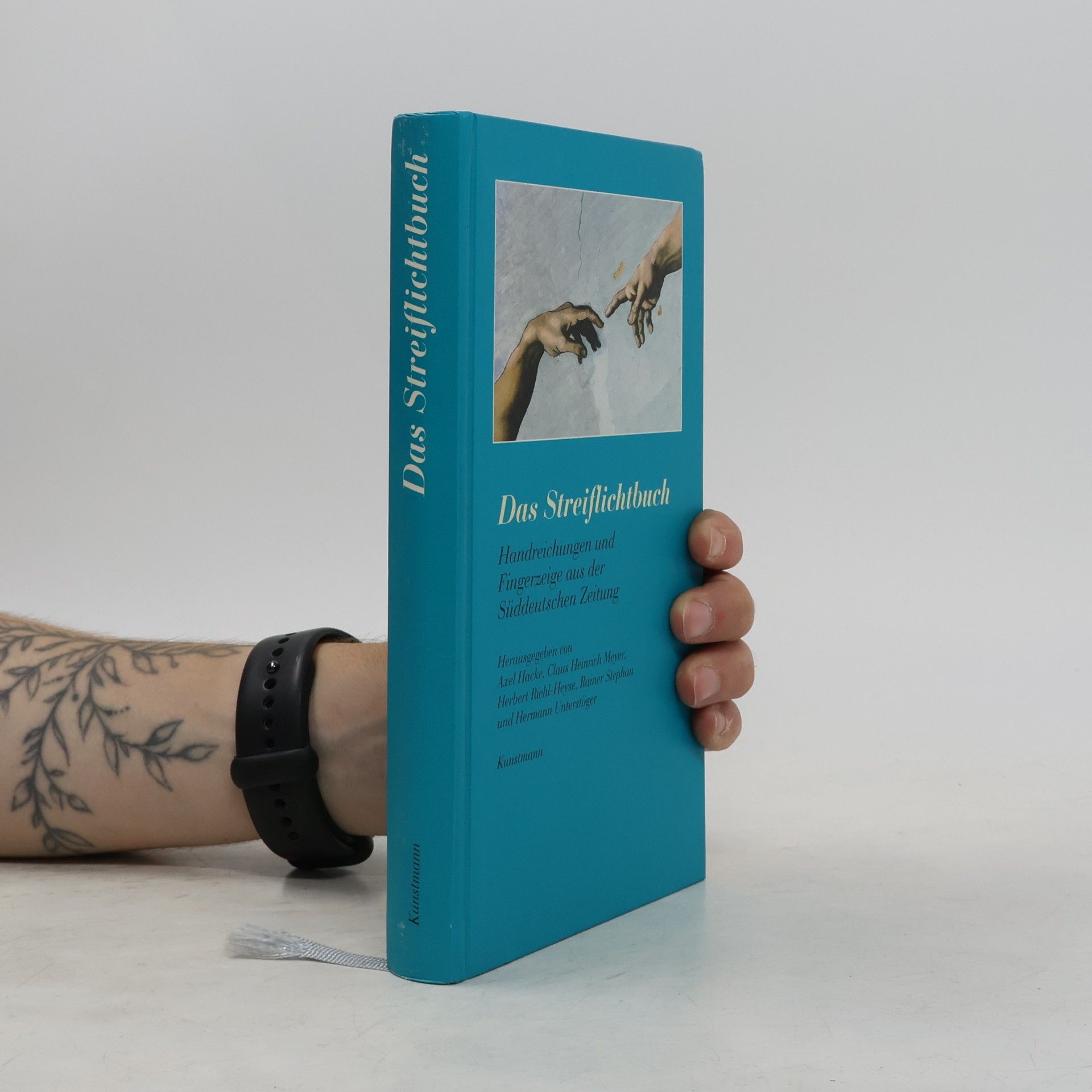 Axel Hacke Das Streiflichtbuch