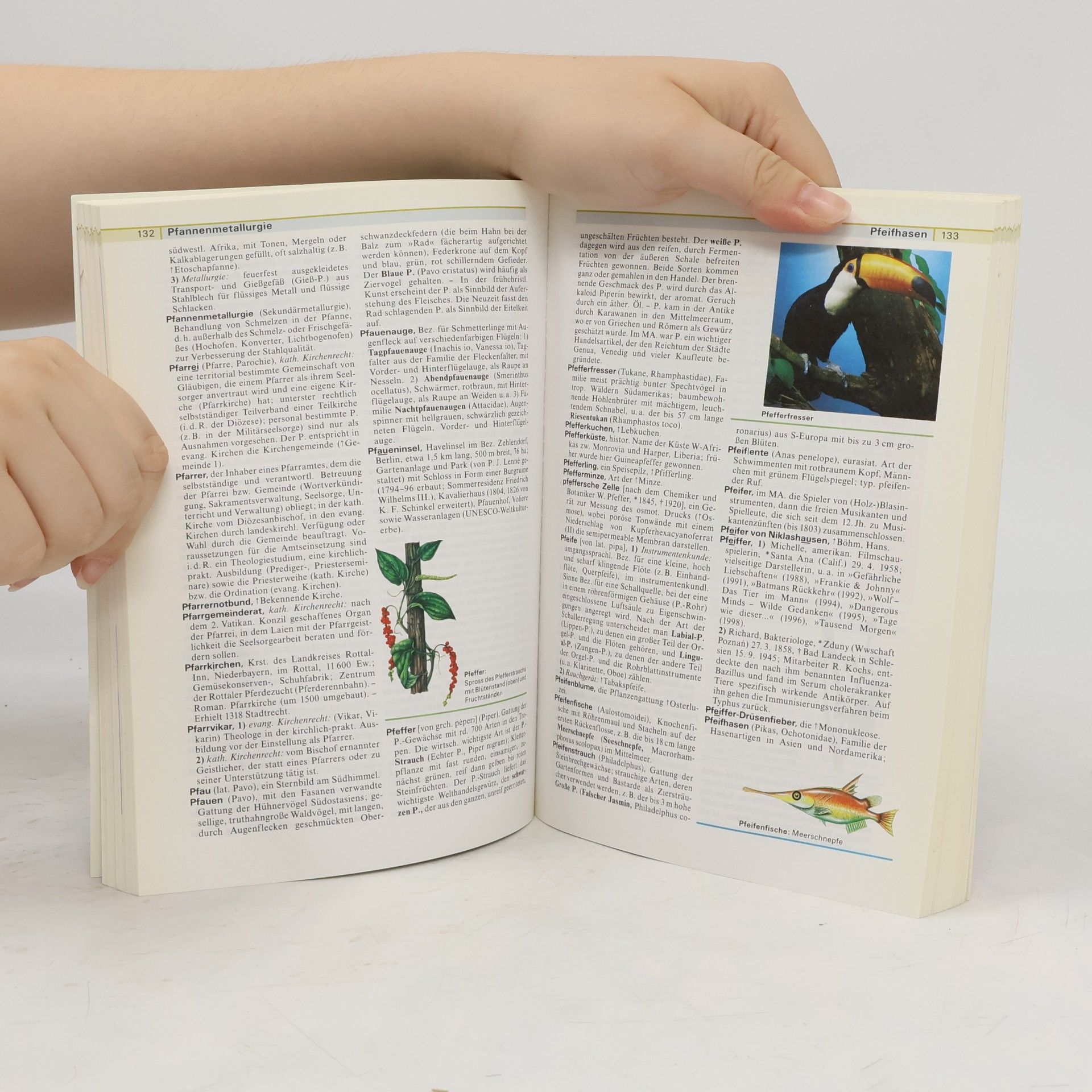 Meyers Grosses Taschen-Lexikon