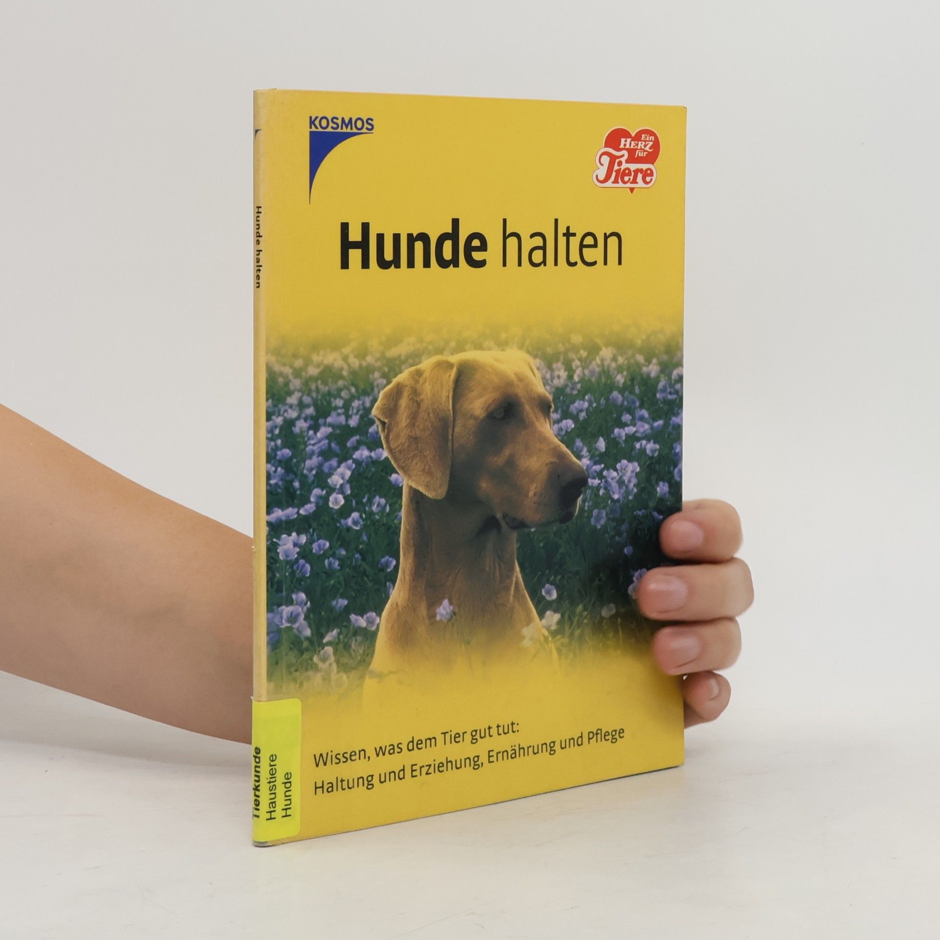 Autorenkollektiv Hunde halten