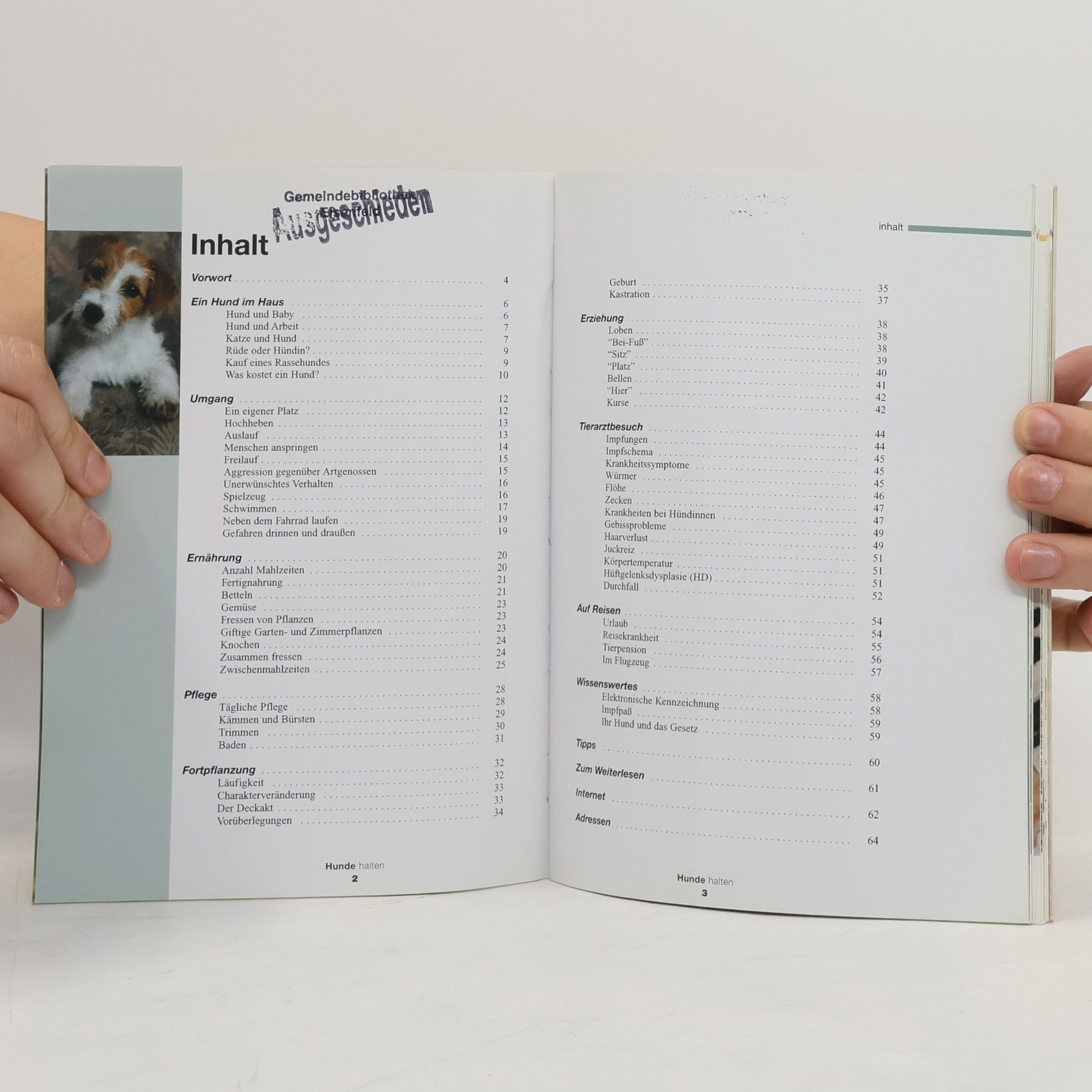 Autorenkollektiv Hunde halten