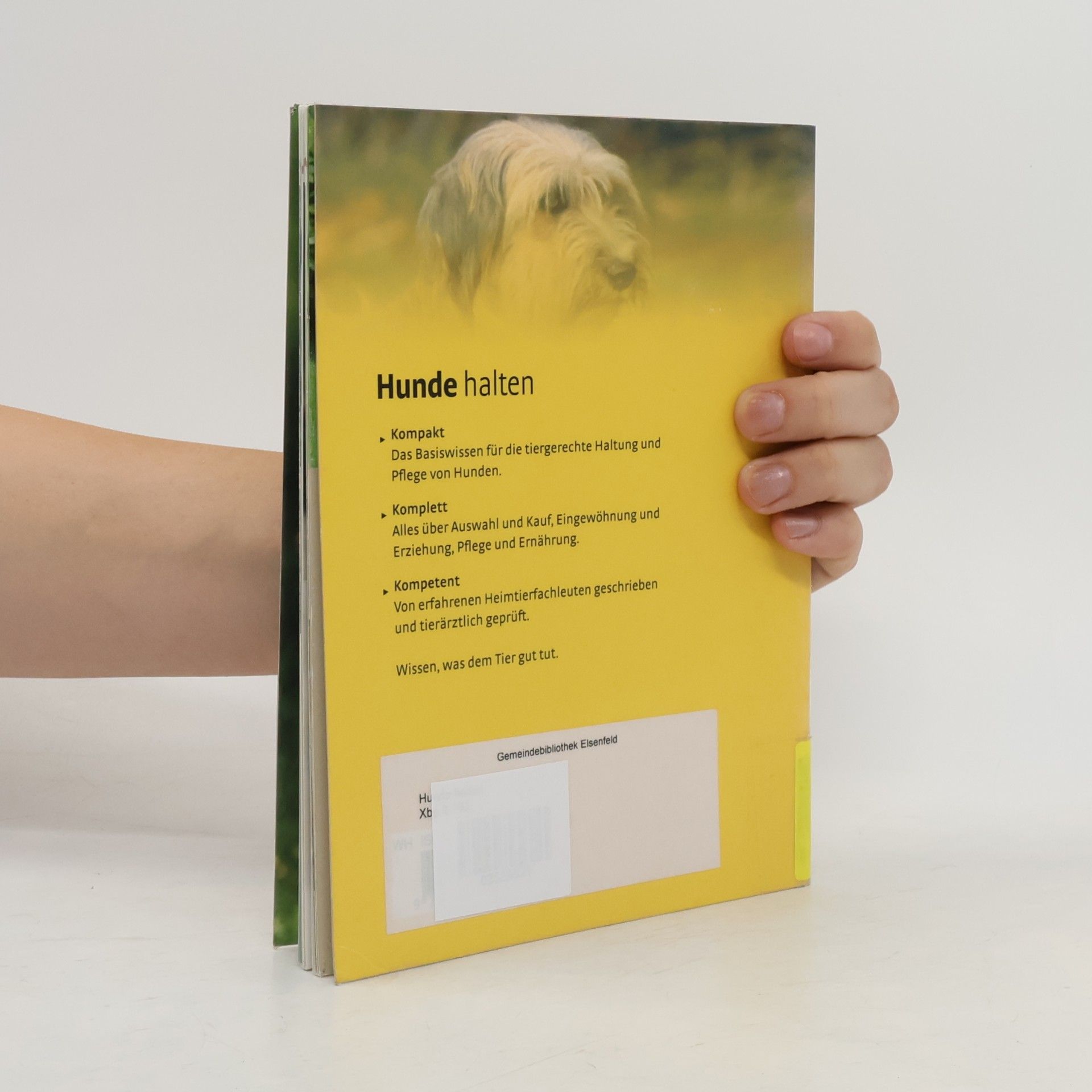 Autorenkollektiv Hunde halten