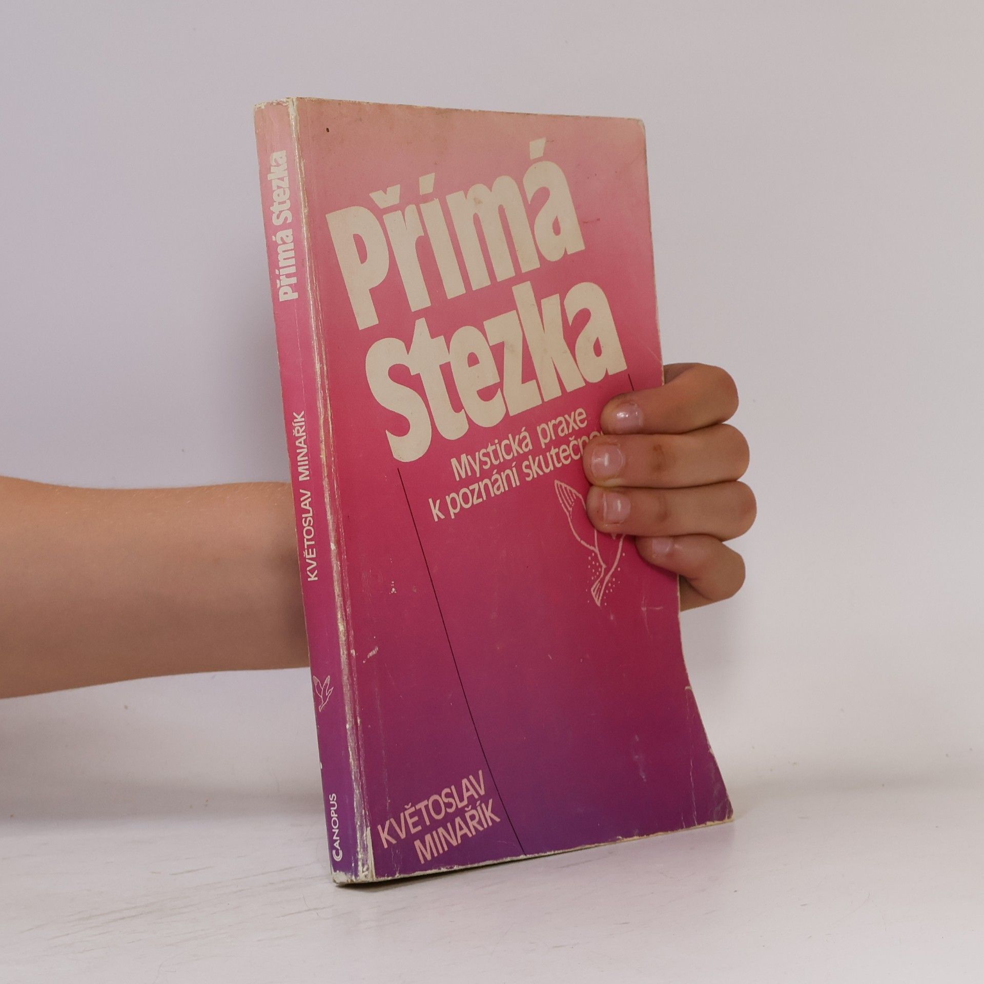Květoslav Minařík Přímá stezka