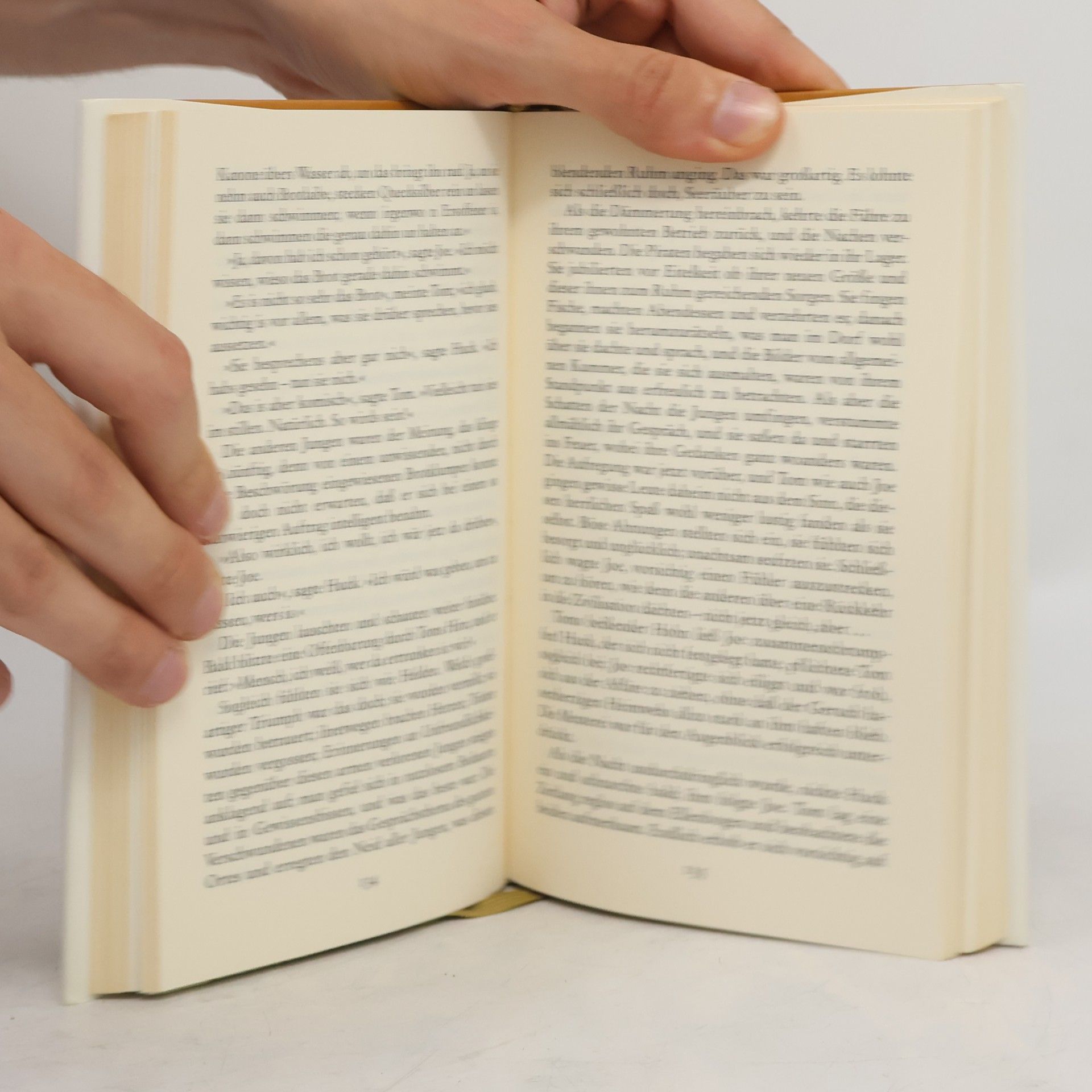 Mark Twain Die Abenteuer von Tom Sawyer