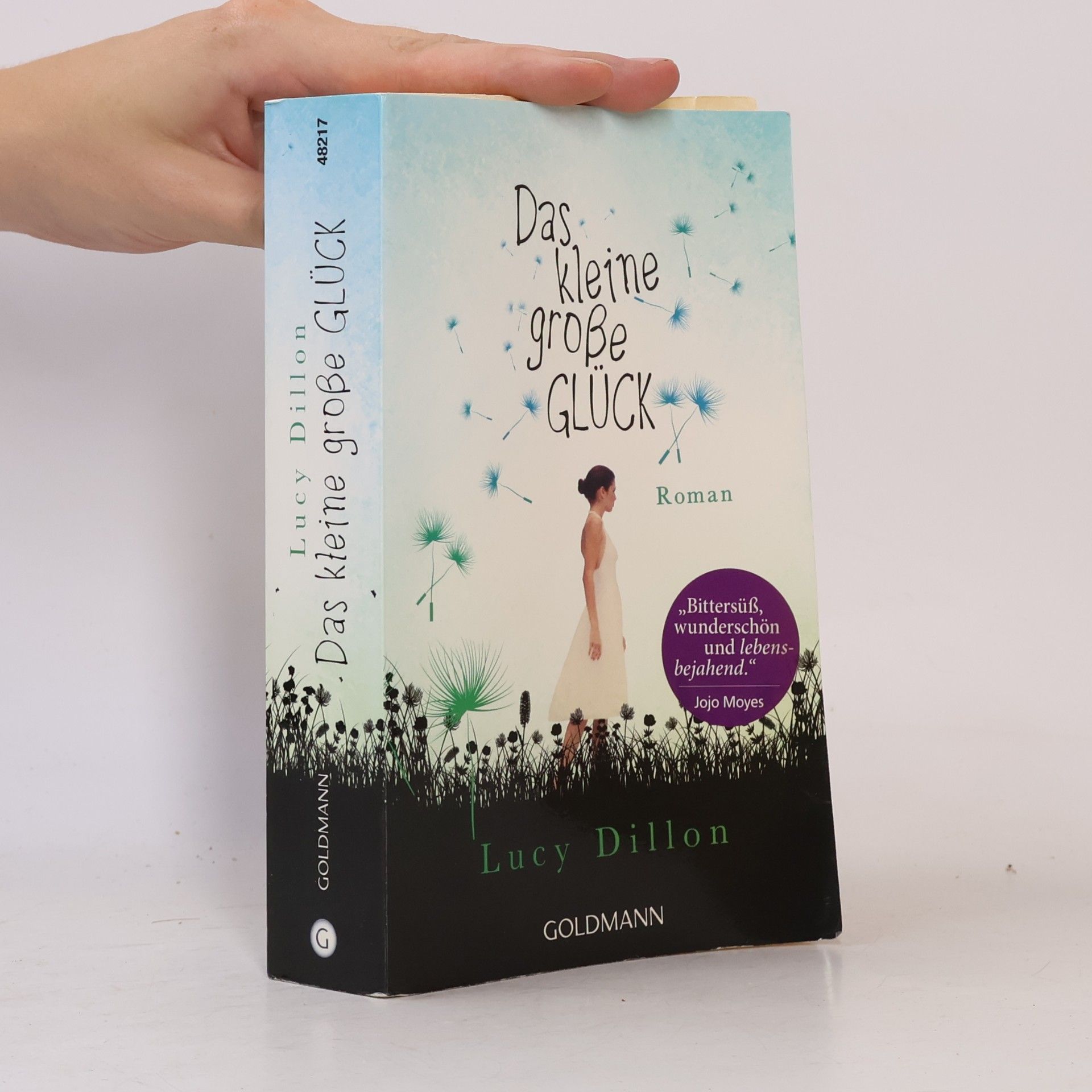 Lucy Dillon Das kleine große Glück