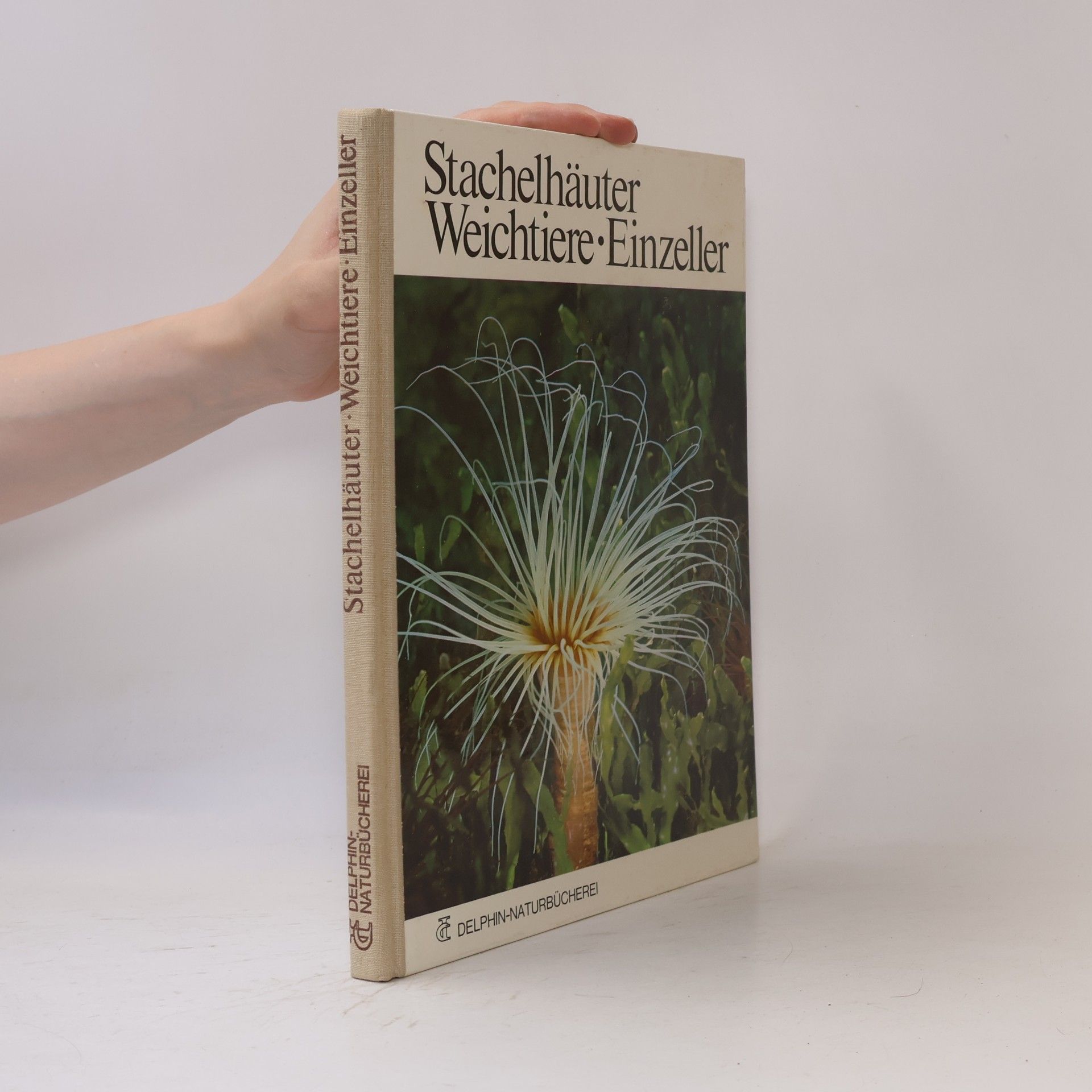 Autorenkollektiv Stachelhäuter, Weichtiere und Einzeller