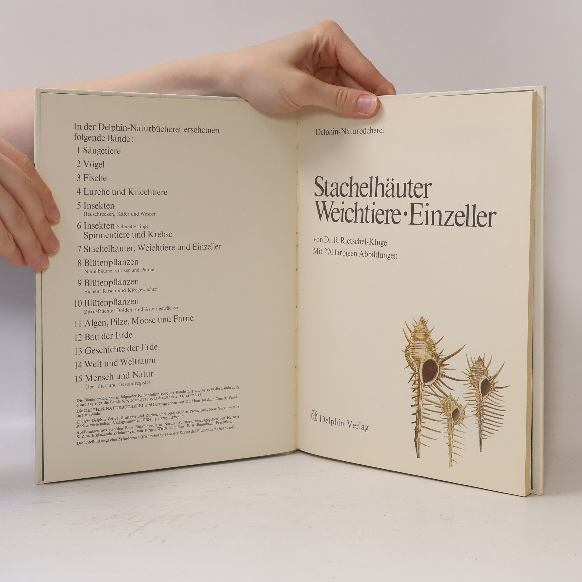 Autorenkollektiv Stachelhäuter, Weichtiere und Einzeller