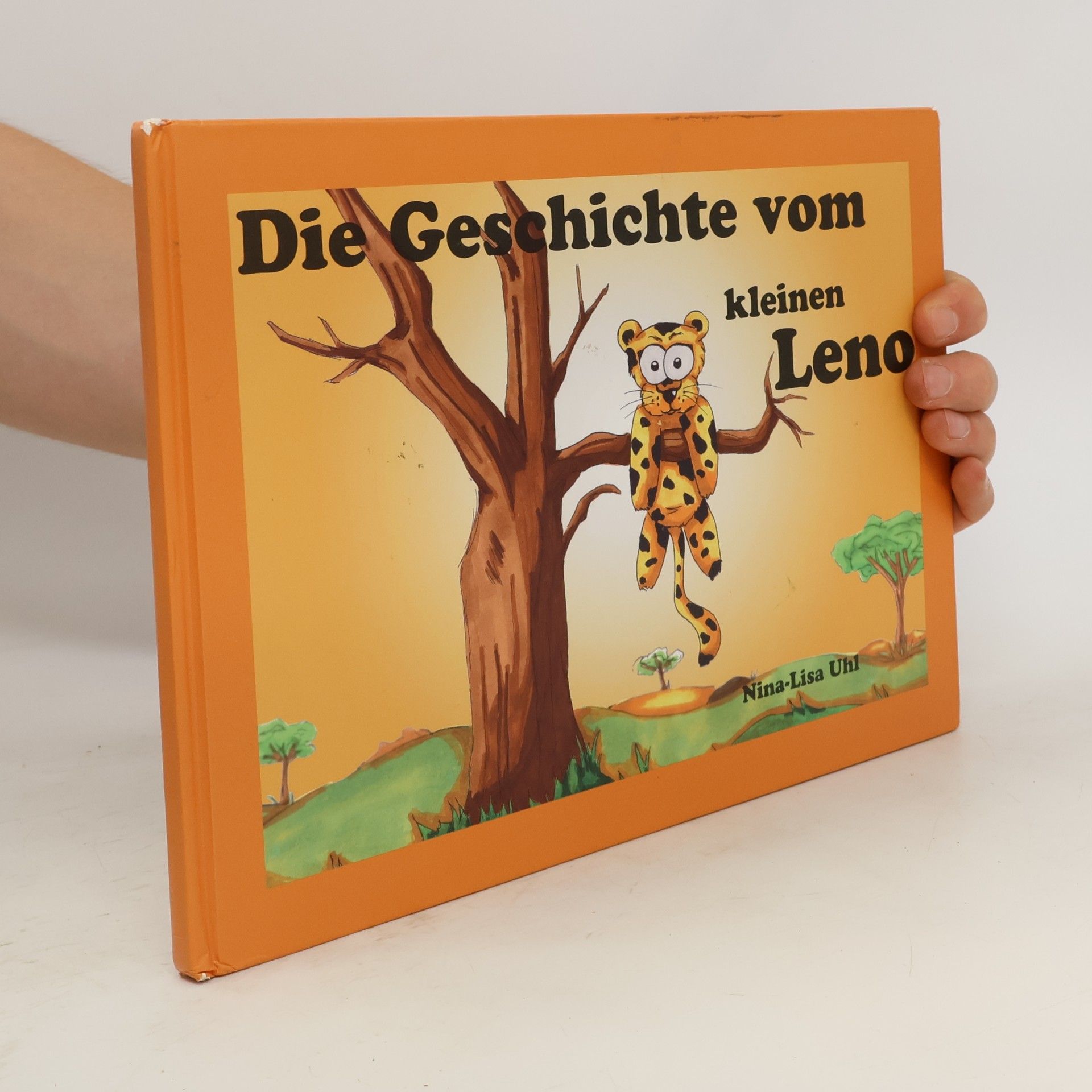 Die Geschichte vom kleinen Lord