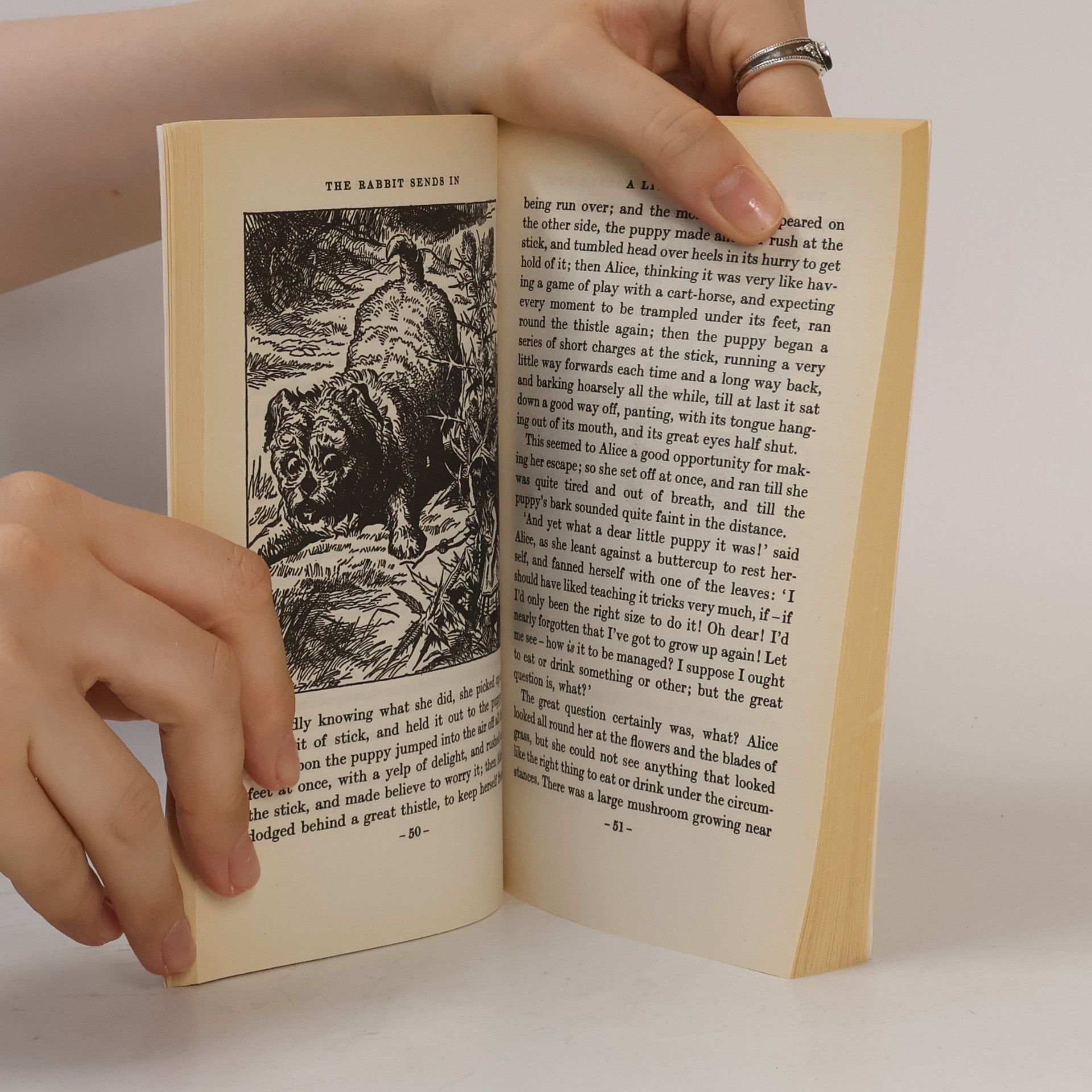 Lewis Carroll Alice's Adventures in Wonderland