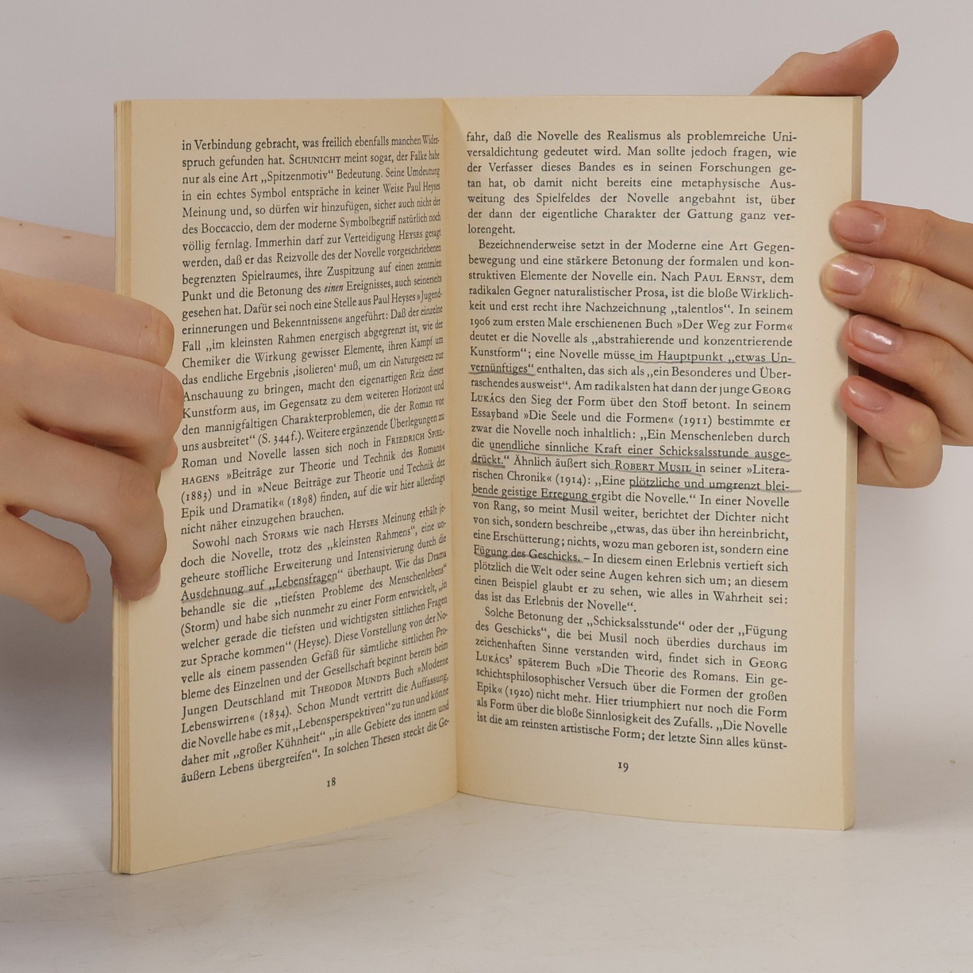 Benno von Wiese Novelle