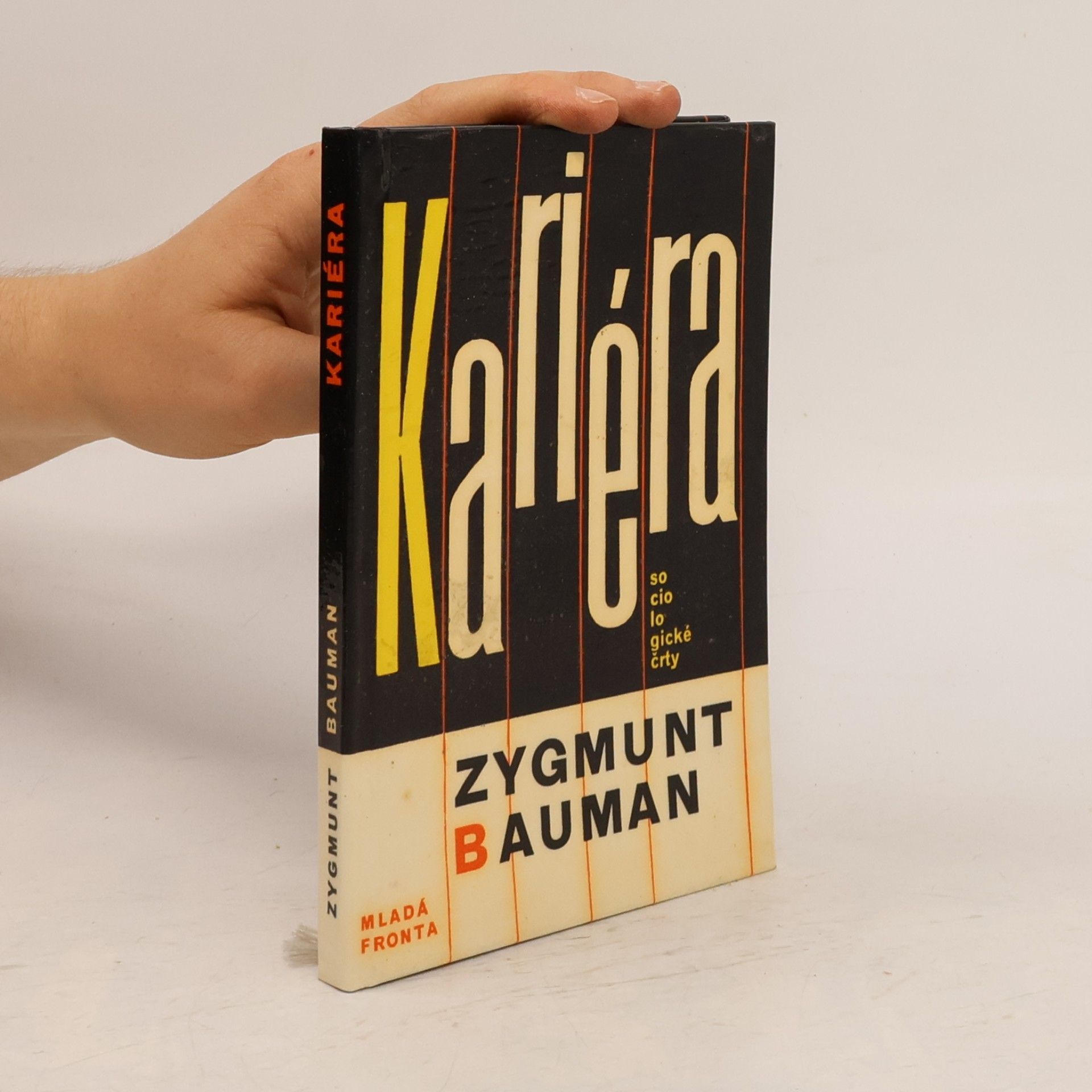 Zygmunt Bauman Kariéra