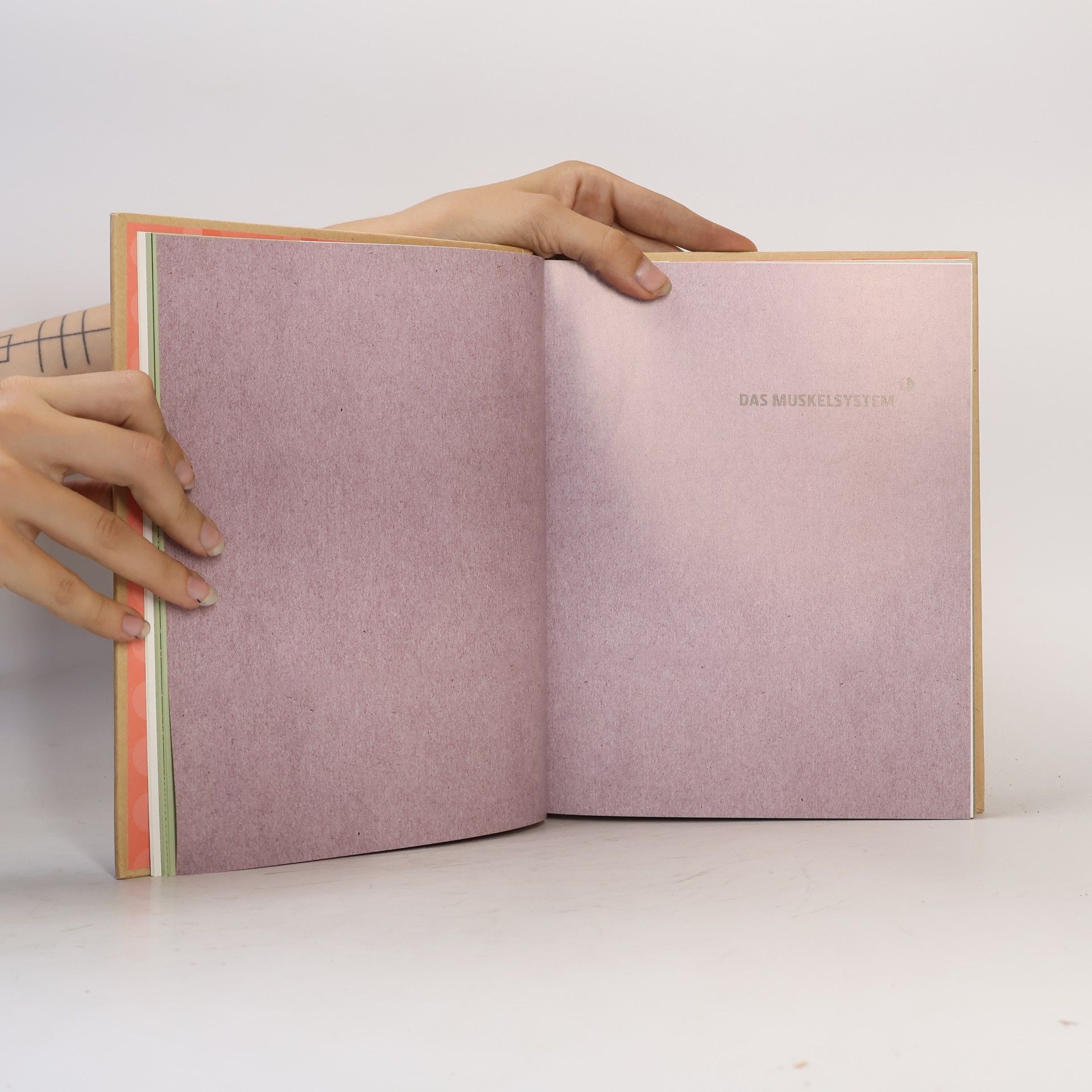 Gabrielle M. Finn Anatomie in 30 Sekunden