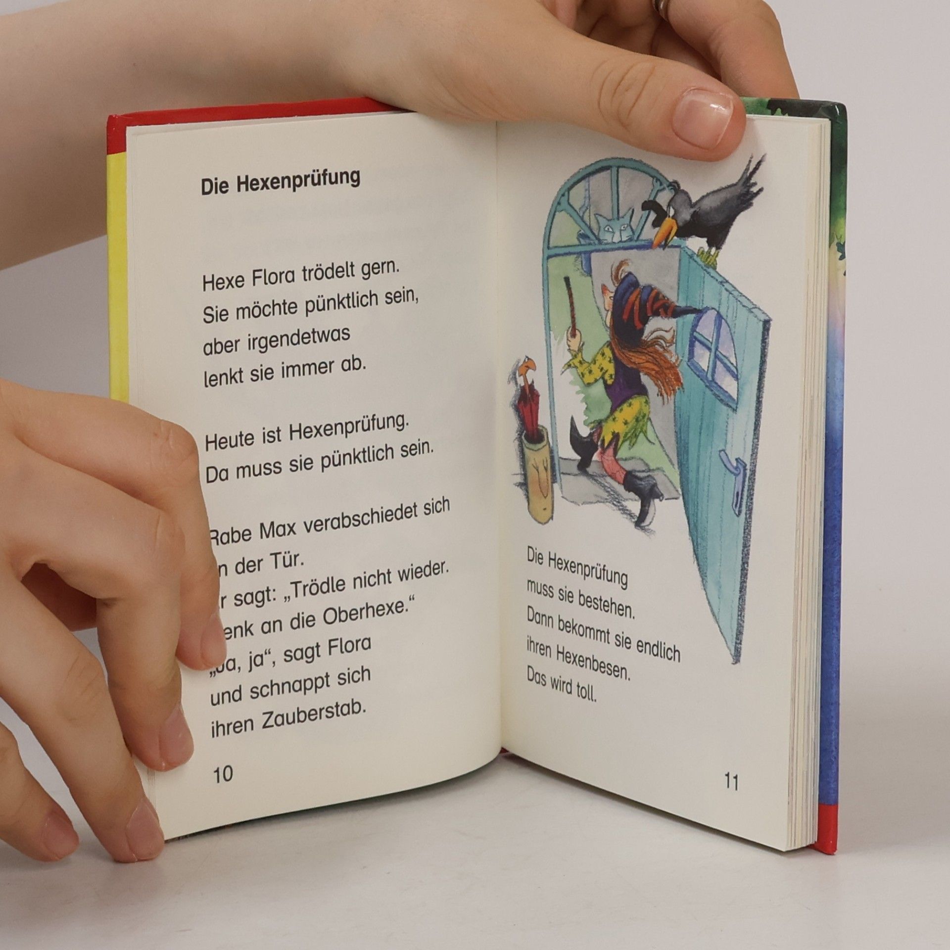 Dagmar Geisler Kleine Hexengeschichten