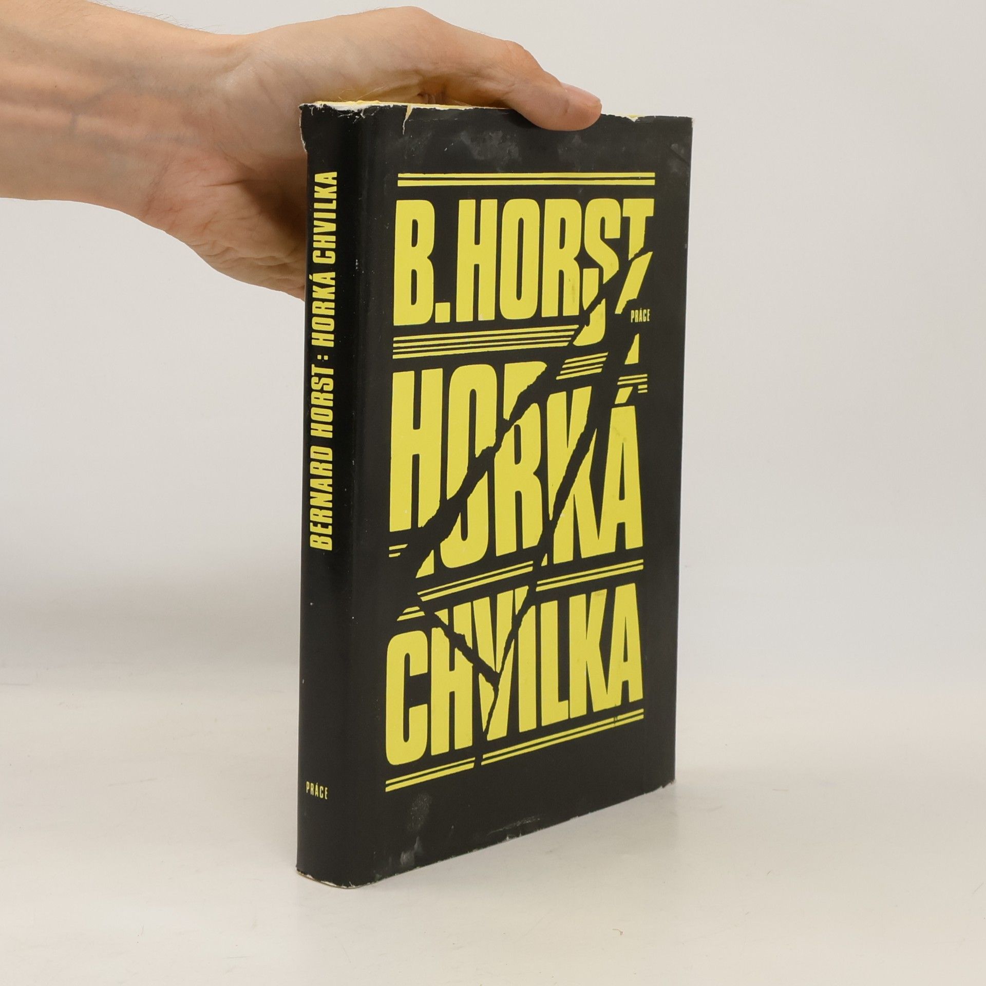 Bernard Horst Horká chvilka: Povídky
