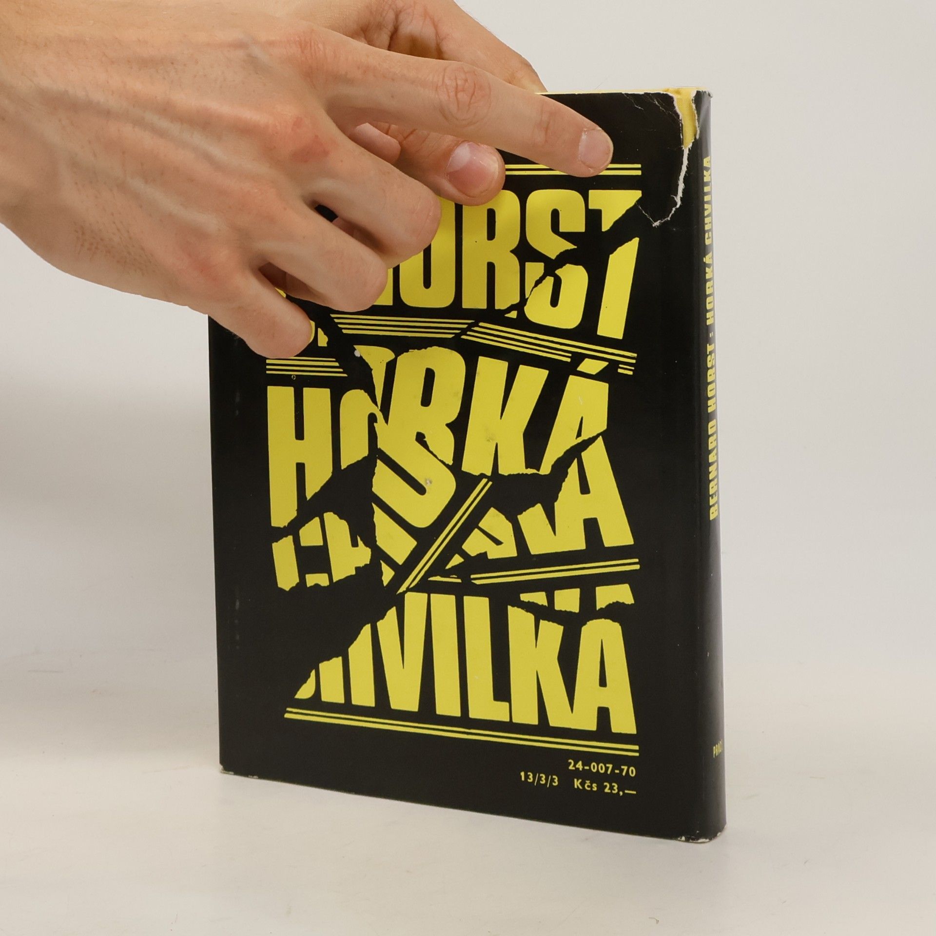 Bernard Horst Horká chvilka: Povídky