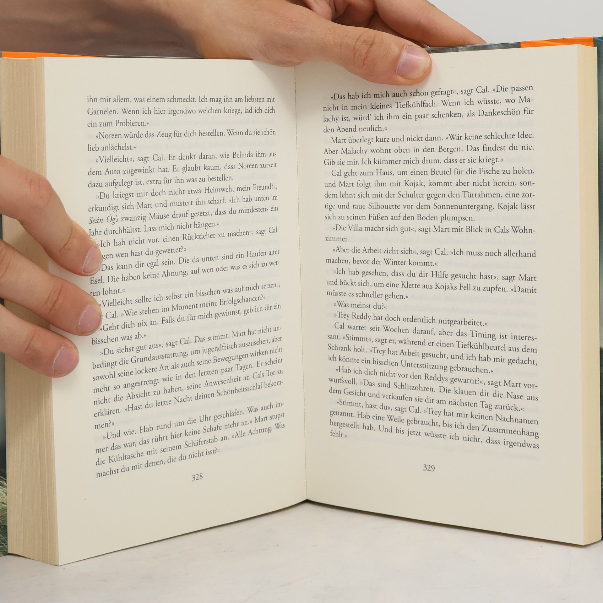 Tana French Der Sucher