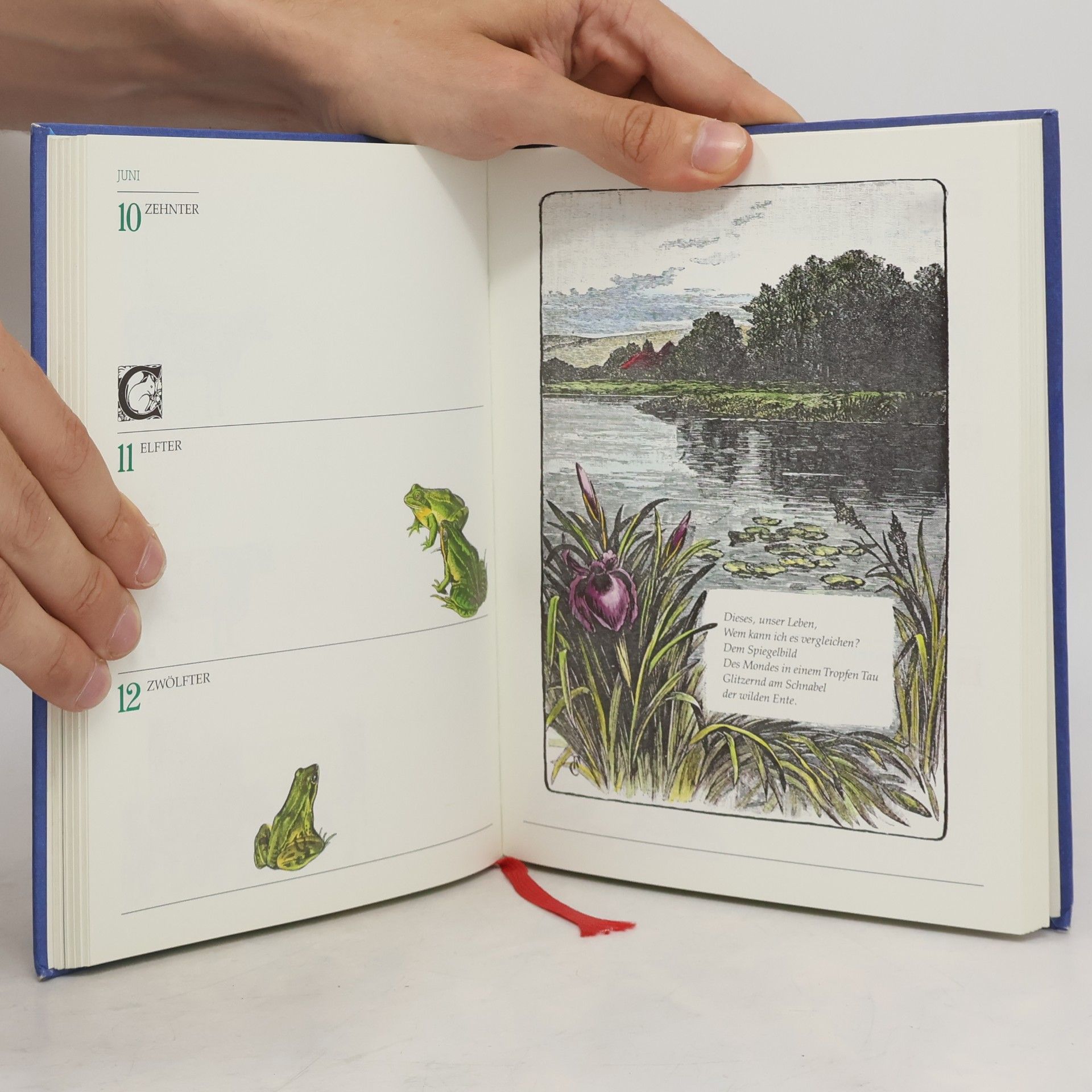 Autorenkollektiv Ein immerwährender Kalender. Brevier der Überraschungen