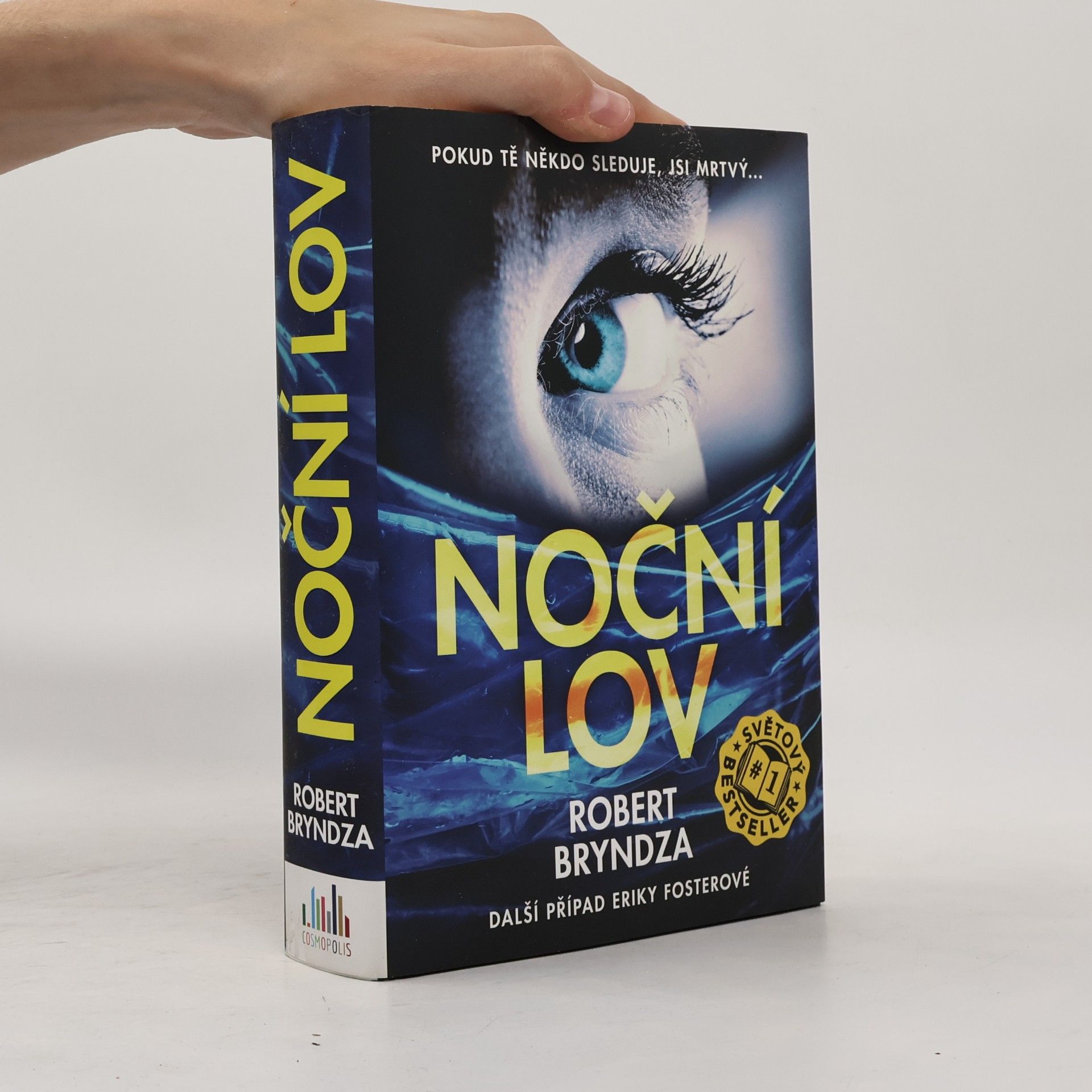 Robert Bryndza Noční lov
