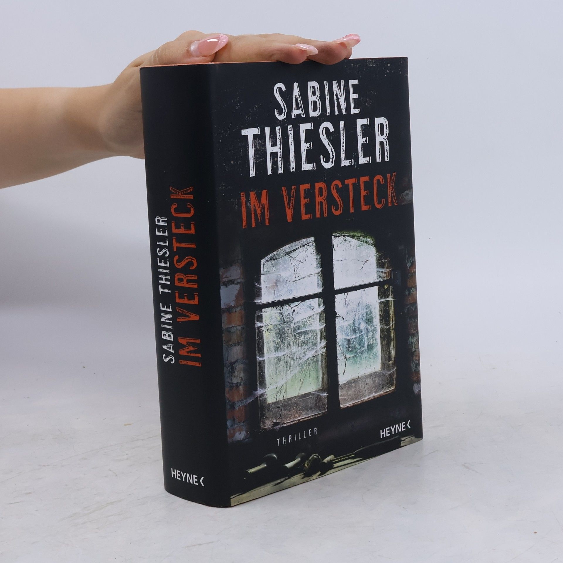 Sabine Thiesler Im Versteck