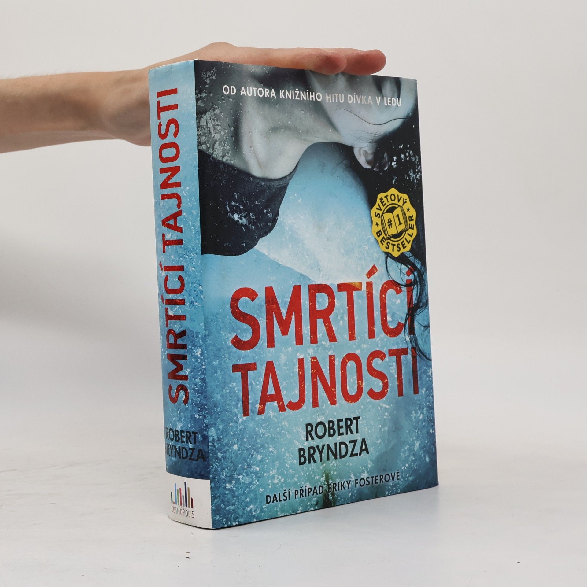 Robert Bryndza Smrtící tajnosti