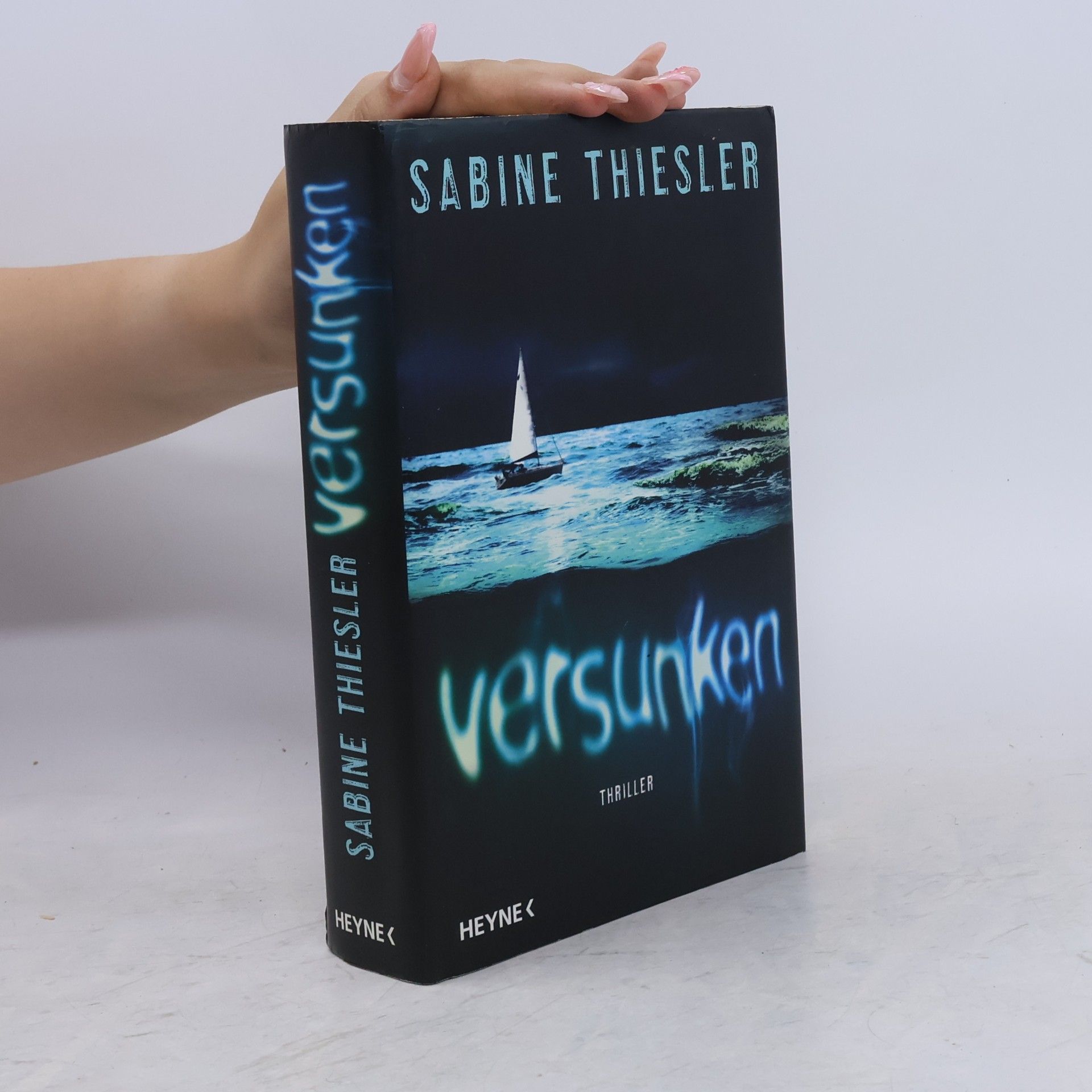 Sabine Thiesler Versunken