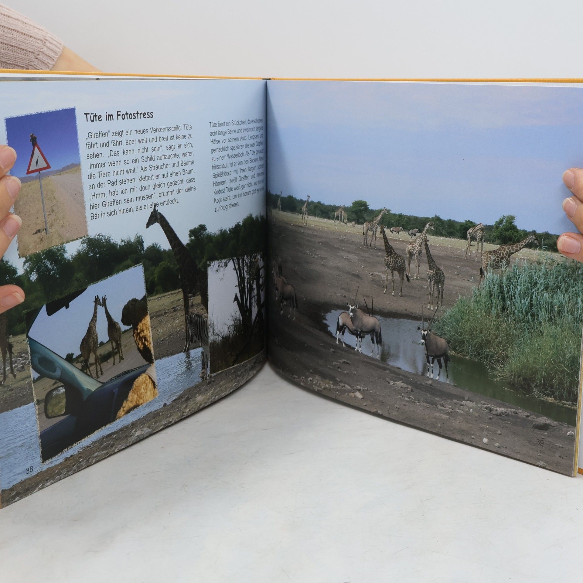 Christin H. Reise Tüte, der kleine Bär auf Safari in Afrika