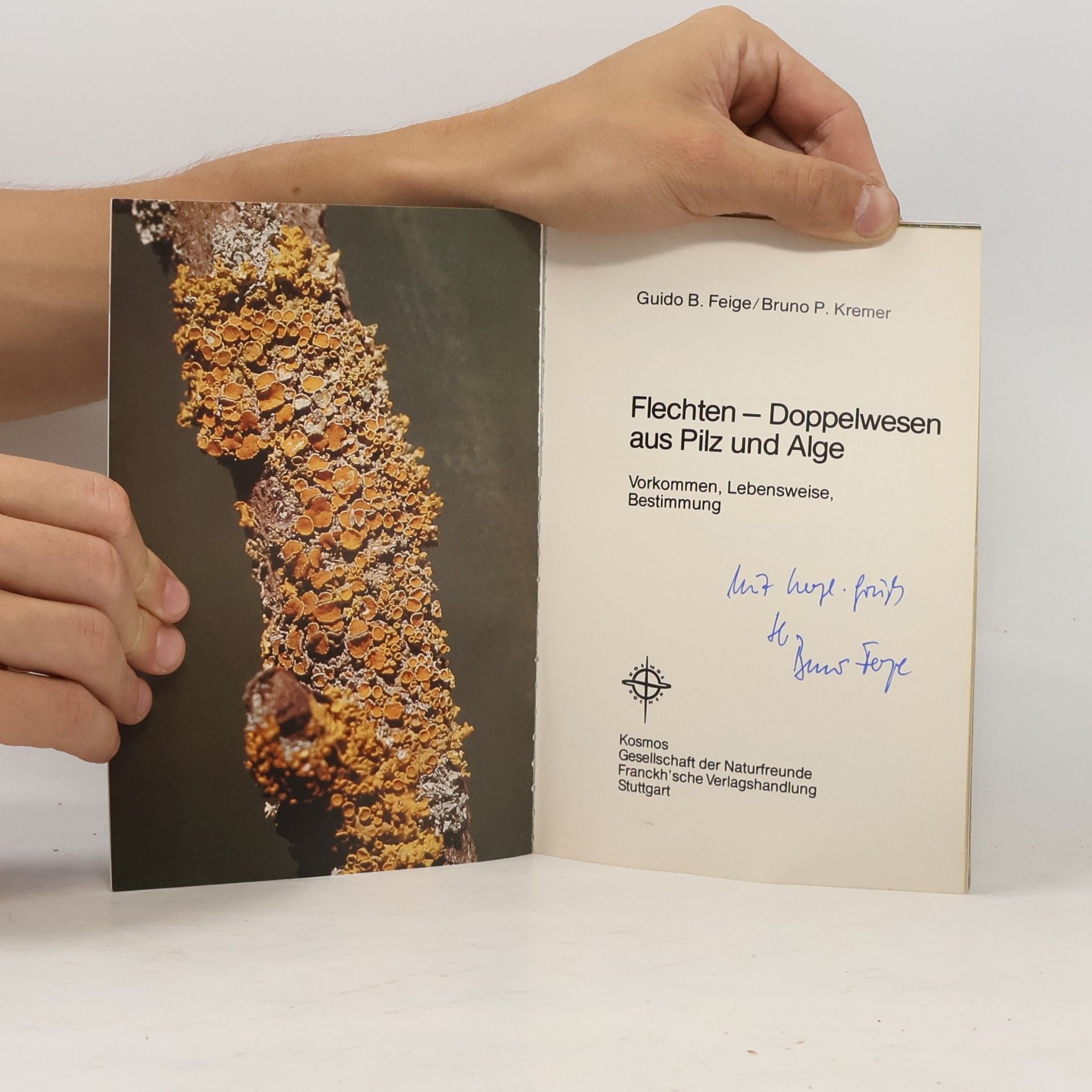 Guido B. Feige Flechten, Doppelwesen aus Pilz und Alge