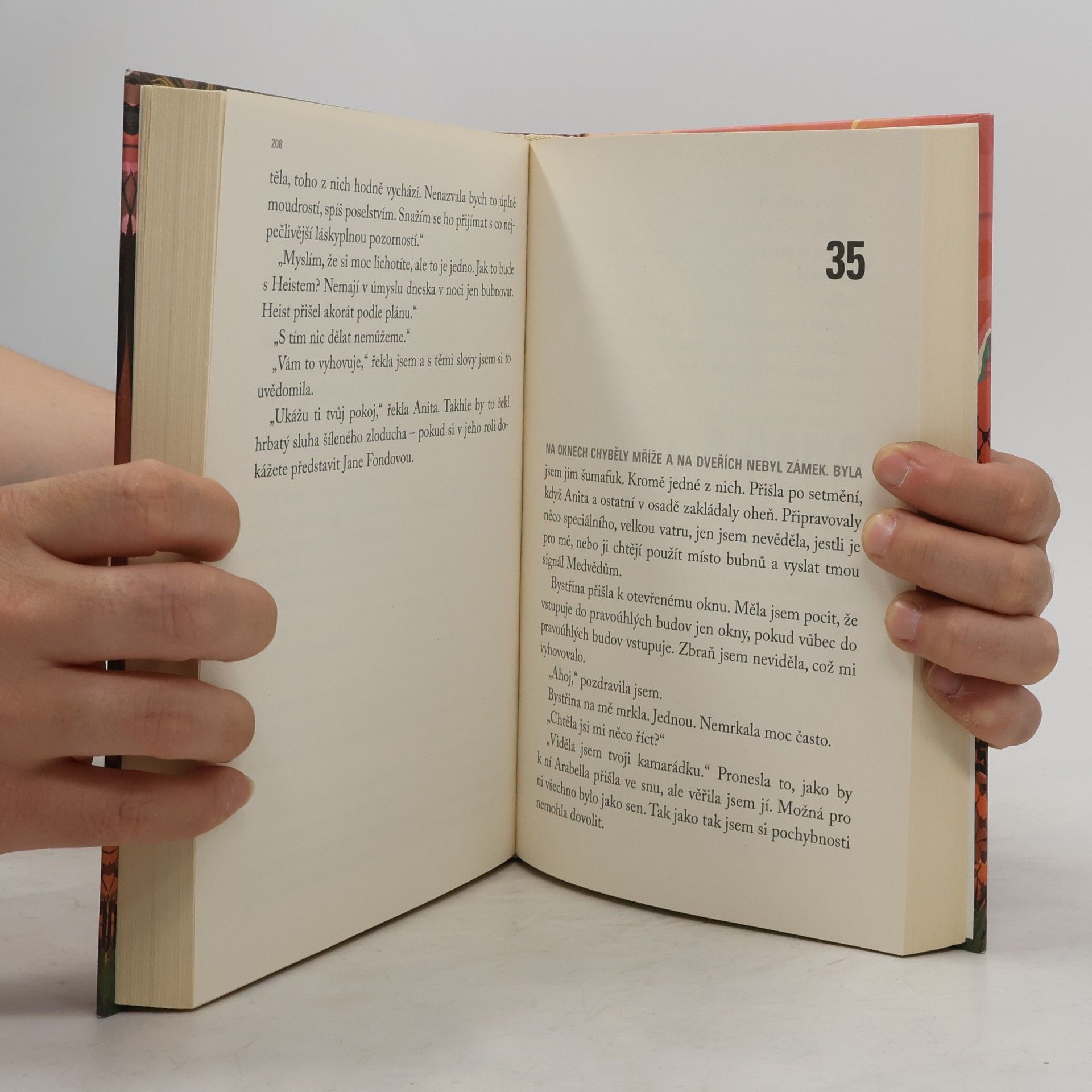 Jonathan Lethem Pouštní dívka