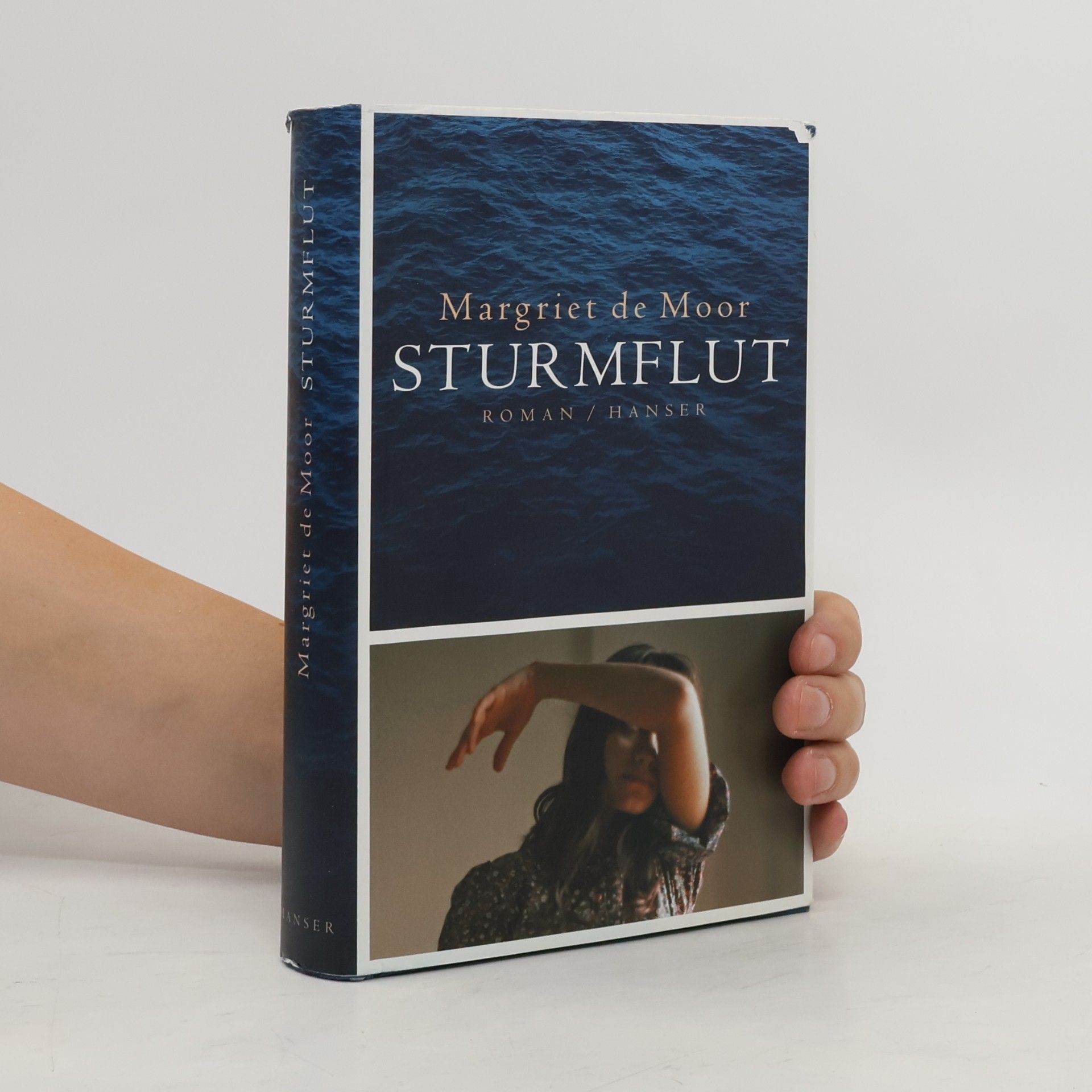 Margriet de Moor Sturmflut