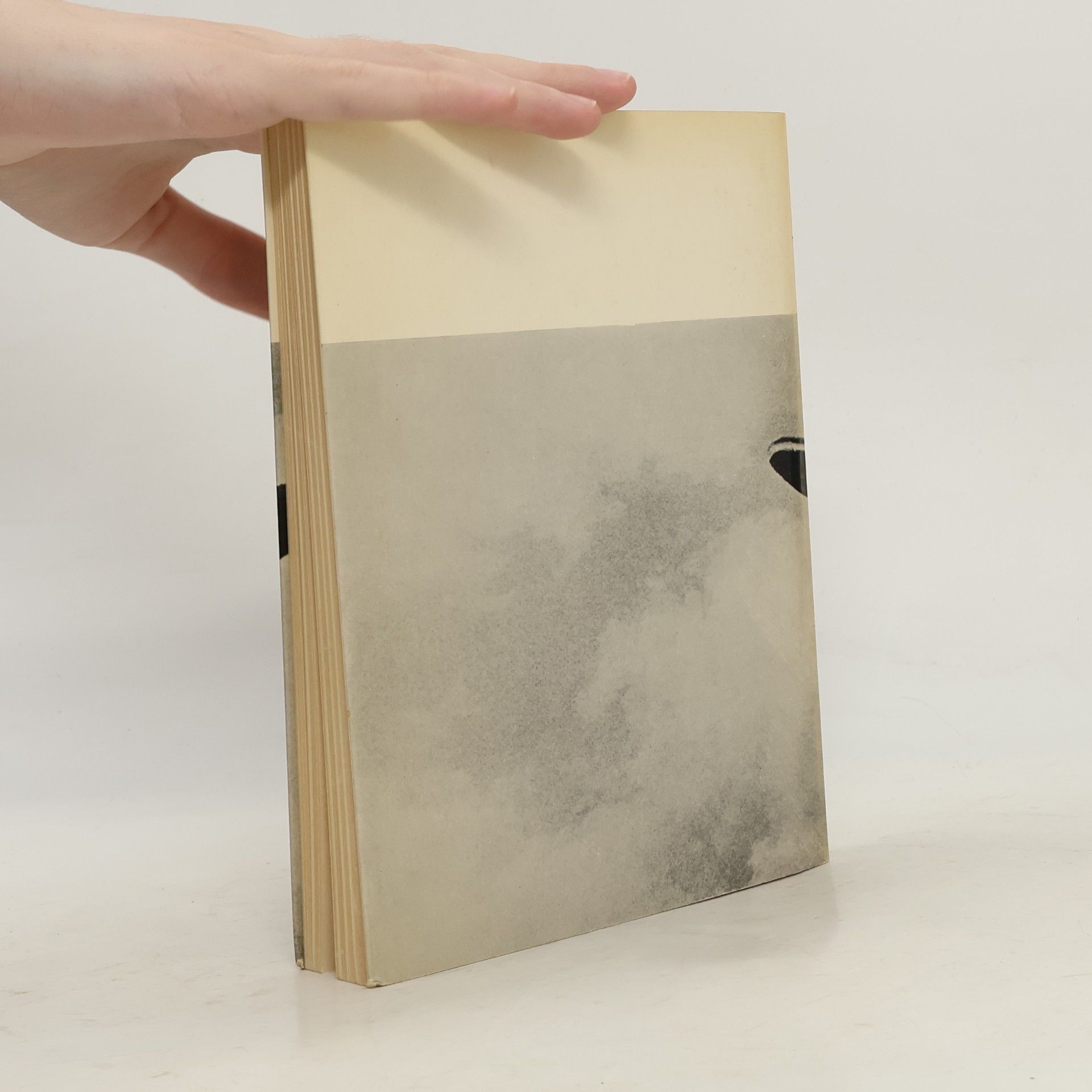 Patrick Waldberg Der Surrealismus