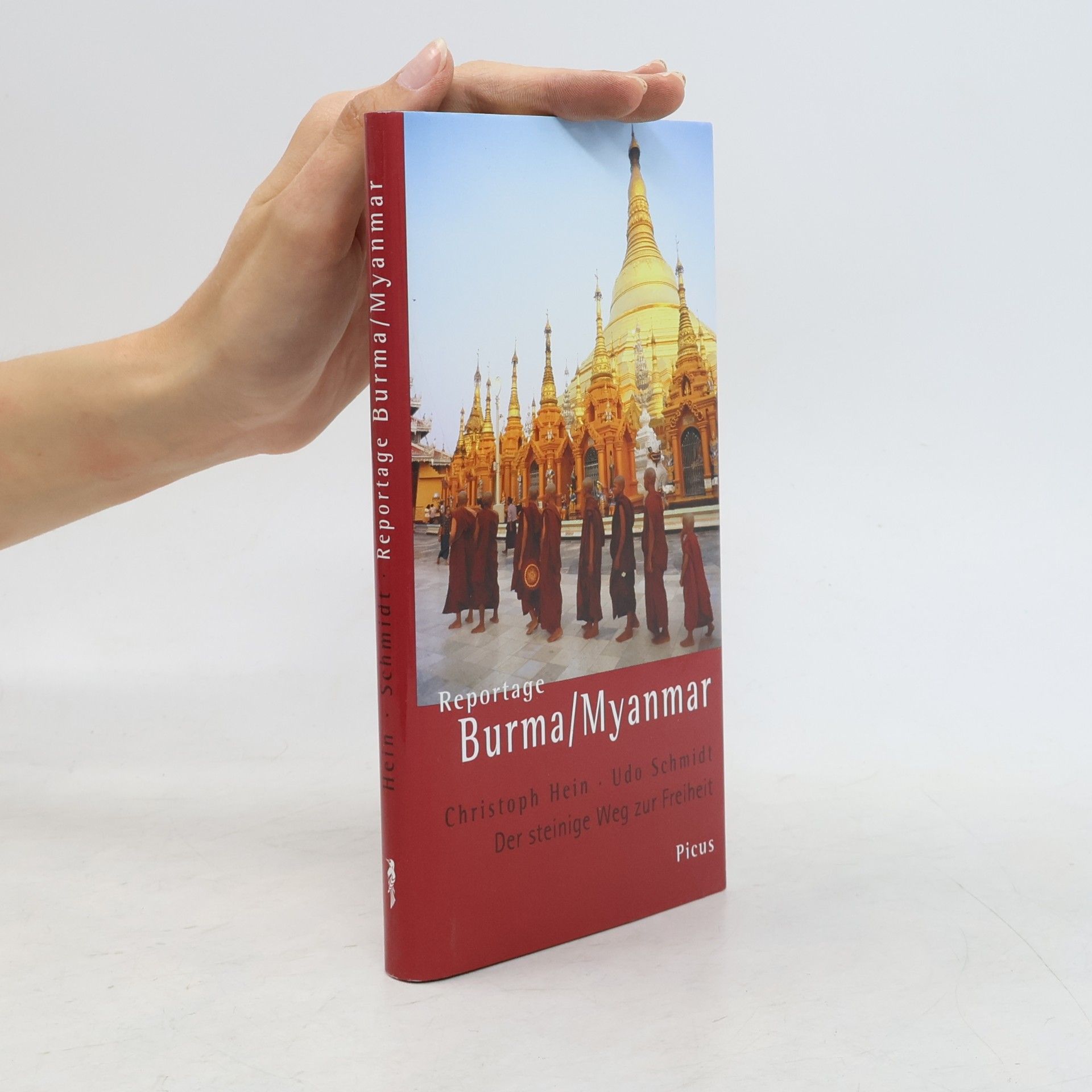 Hein, Christoph Reportage Burma/Myanmar: Der steinige Weg zur Freiheit (Picus Reportagen)