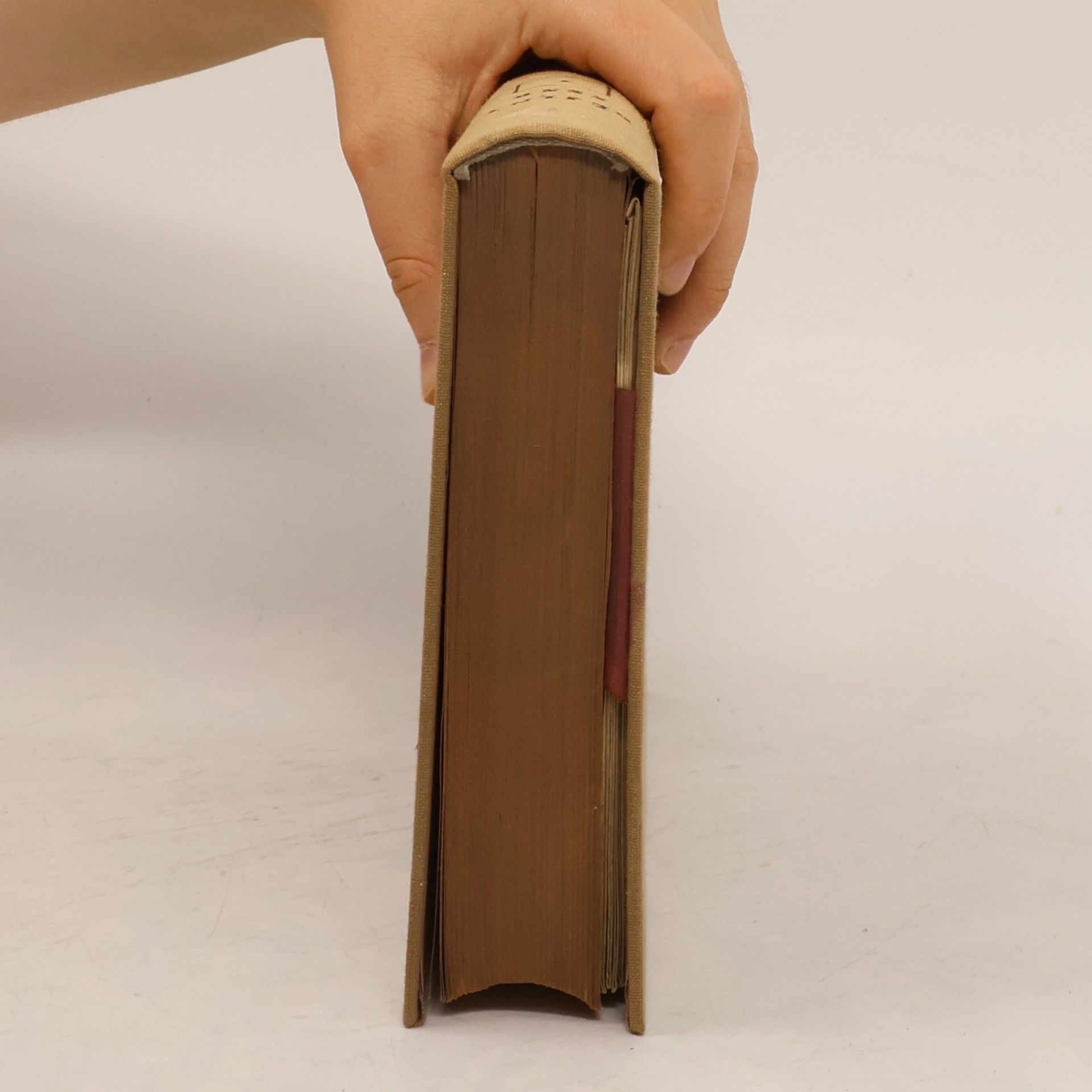 Kolektiv autorů Dějiny SSSR I