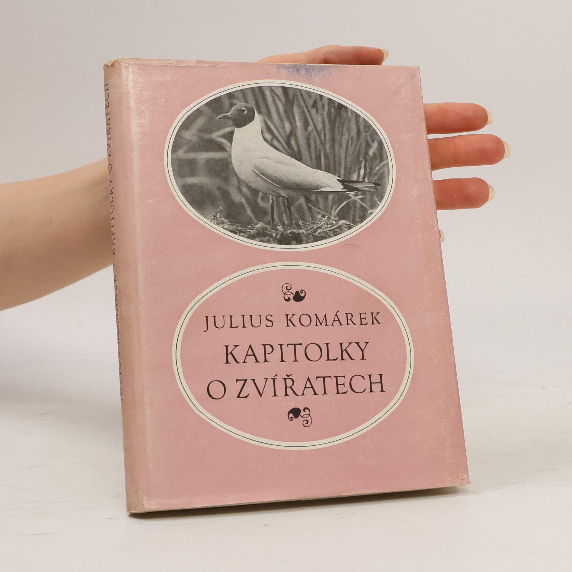 Julius Komárek Kapitolky o zvířatech