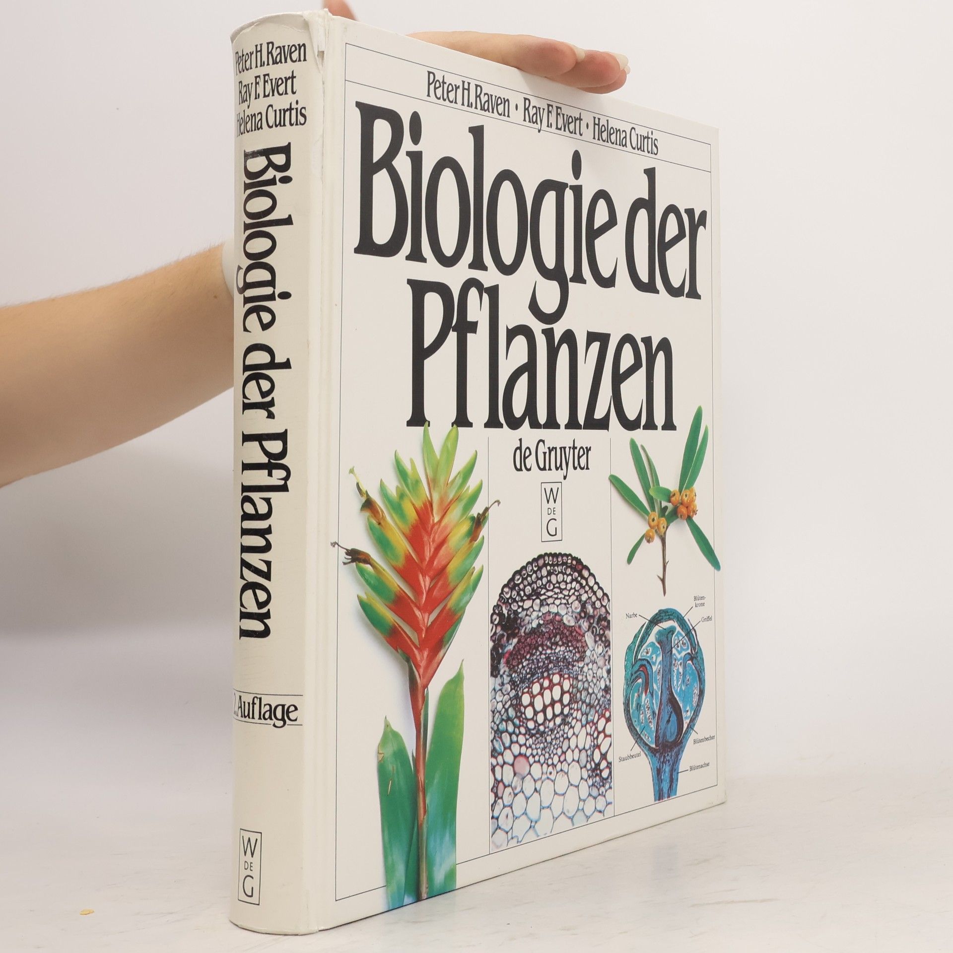 Peter H. Raven Biologie der Pflanzen