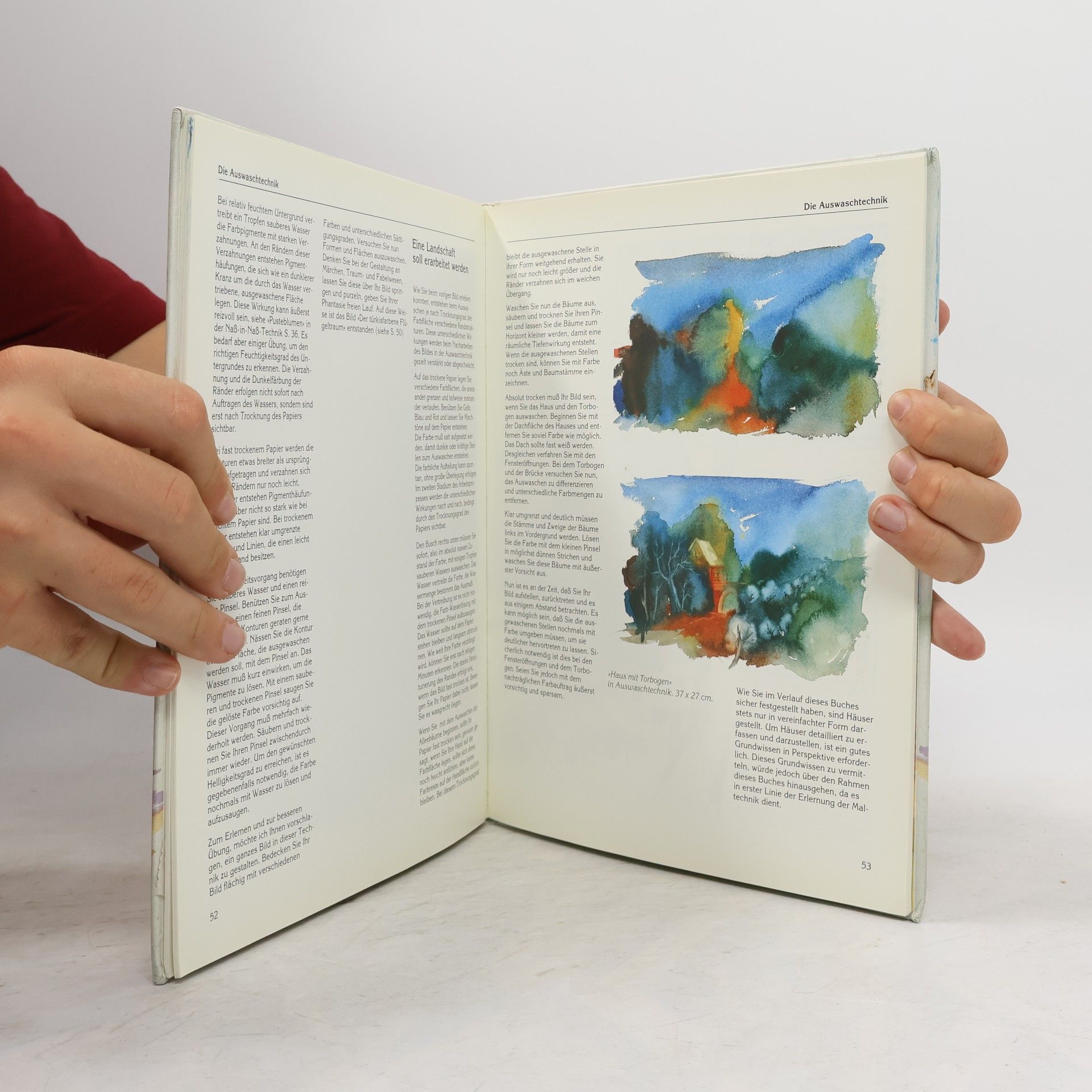 Barbara Eisenbarth Aquarellmalerei für Einsteiger