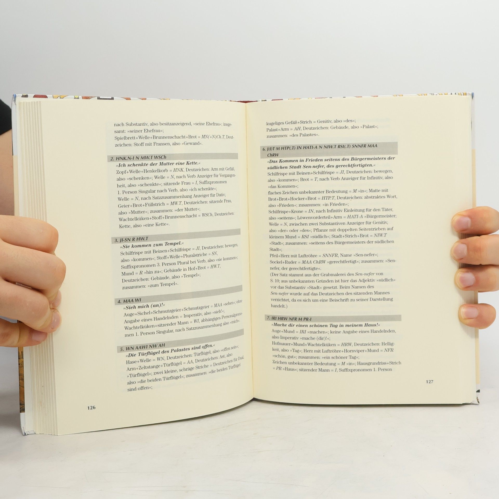 Gabriele Wenzel Hieroglyphen