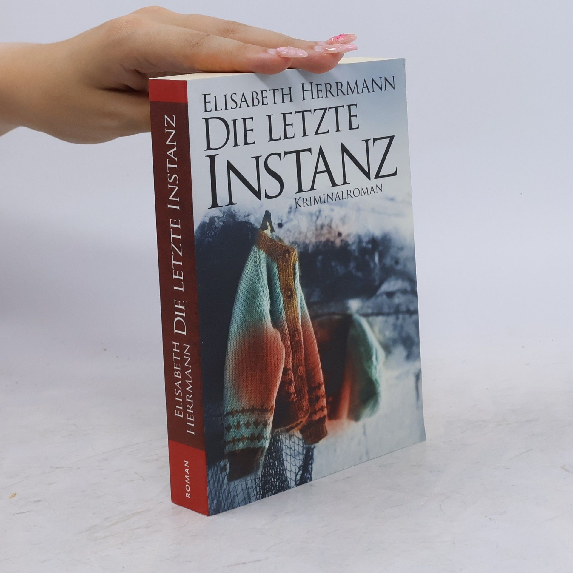 Elisabeth Hermann Die letzte Instanz